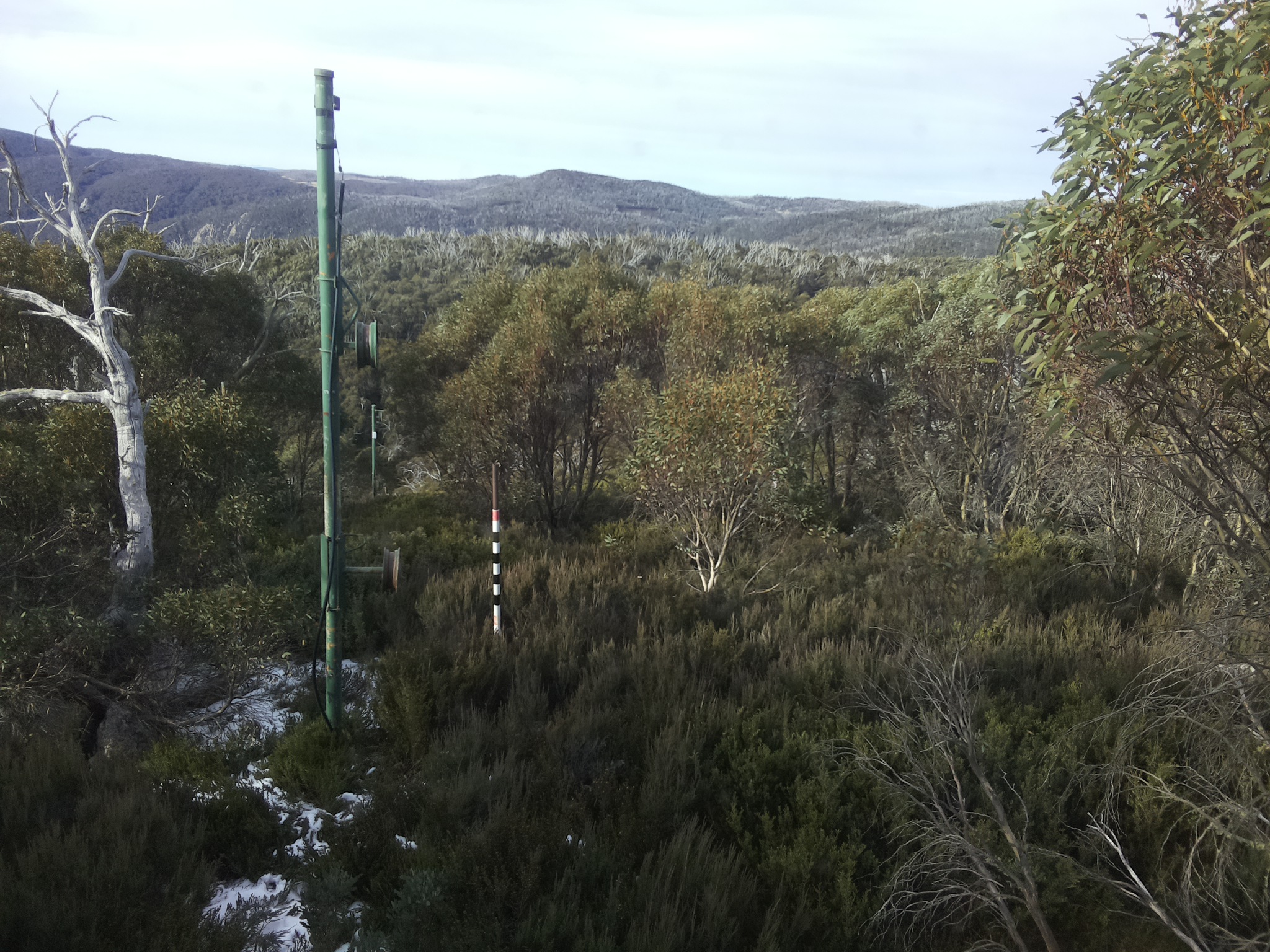 Bogong Web Cam 9:30am Monday 2nd of June 2025