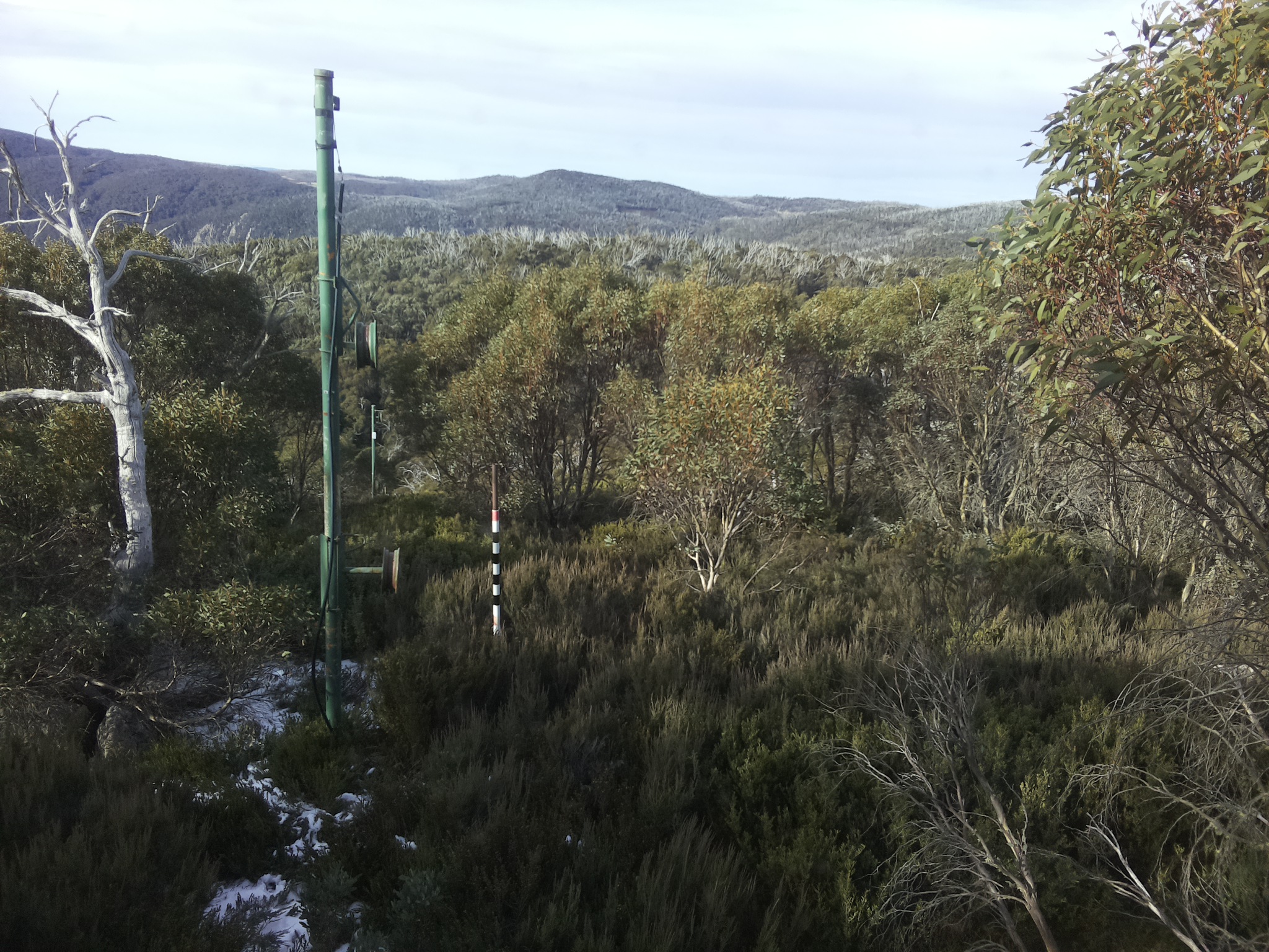 Bogong Web Cam 9:40am Monday 2nd of June 2025