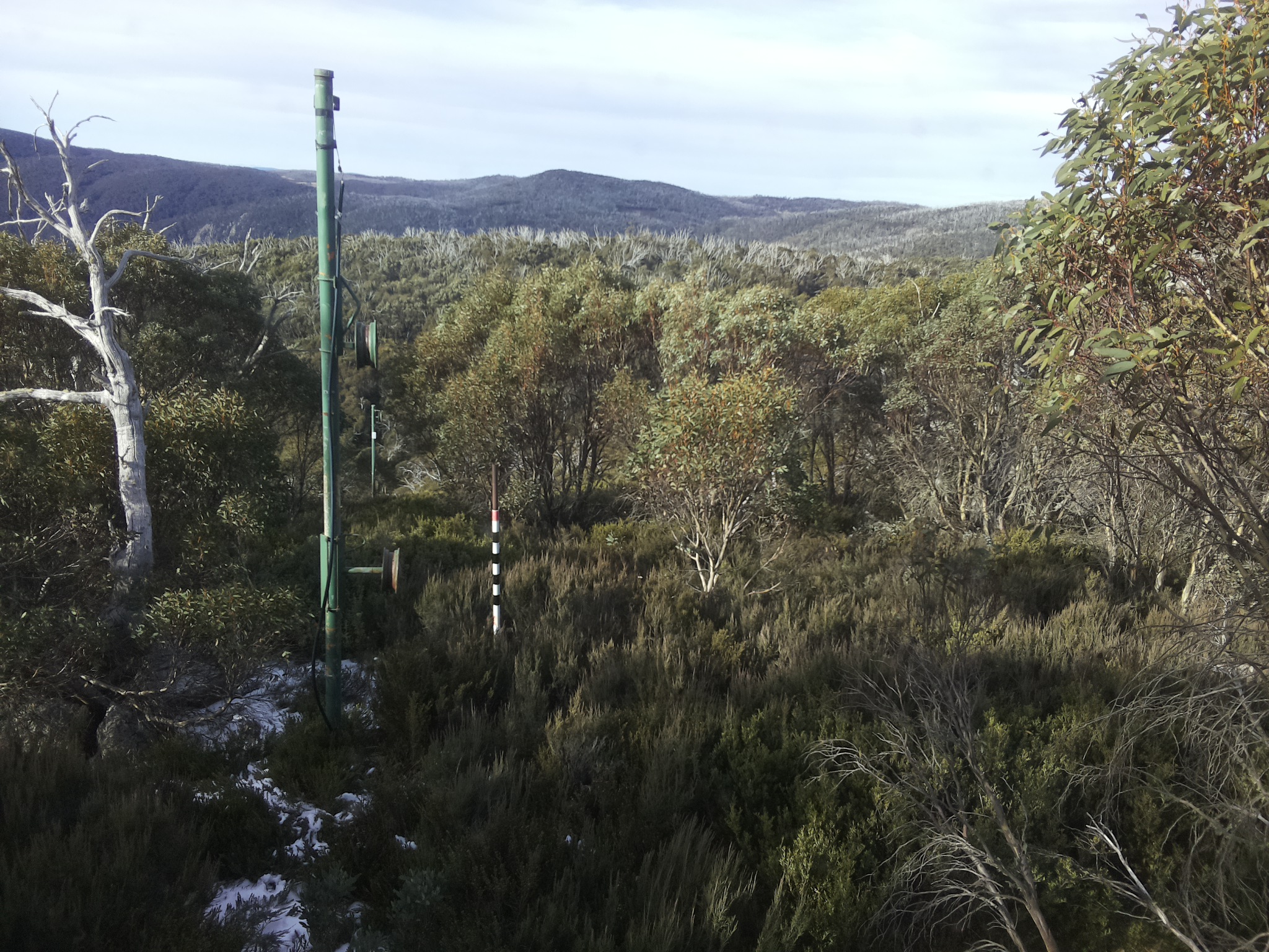 Bogong Web Cam 9:50am Monday 2nd of June 2025