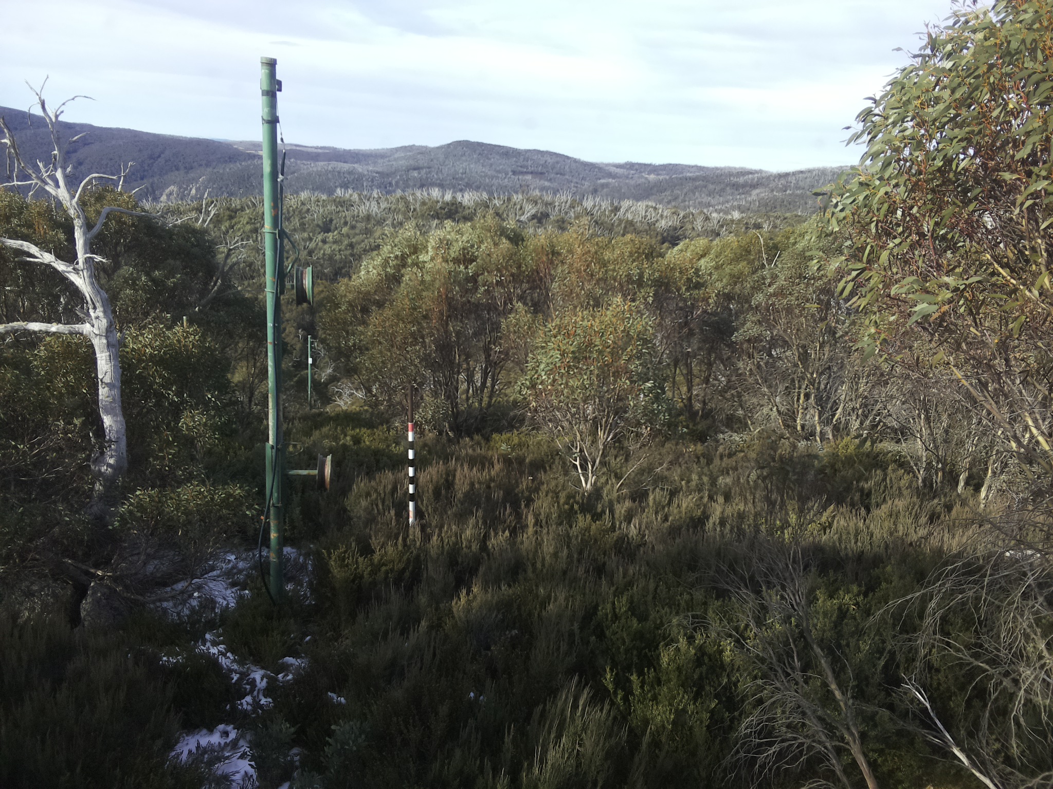 Bogong Web Cam 10:00am Monday 2nd of June 2025