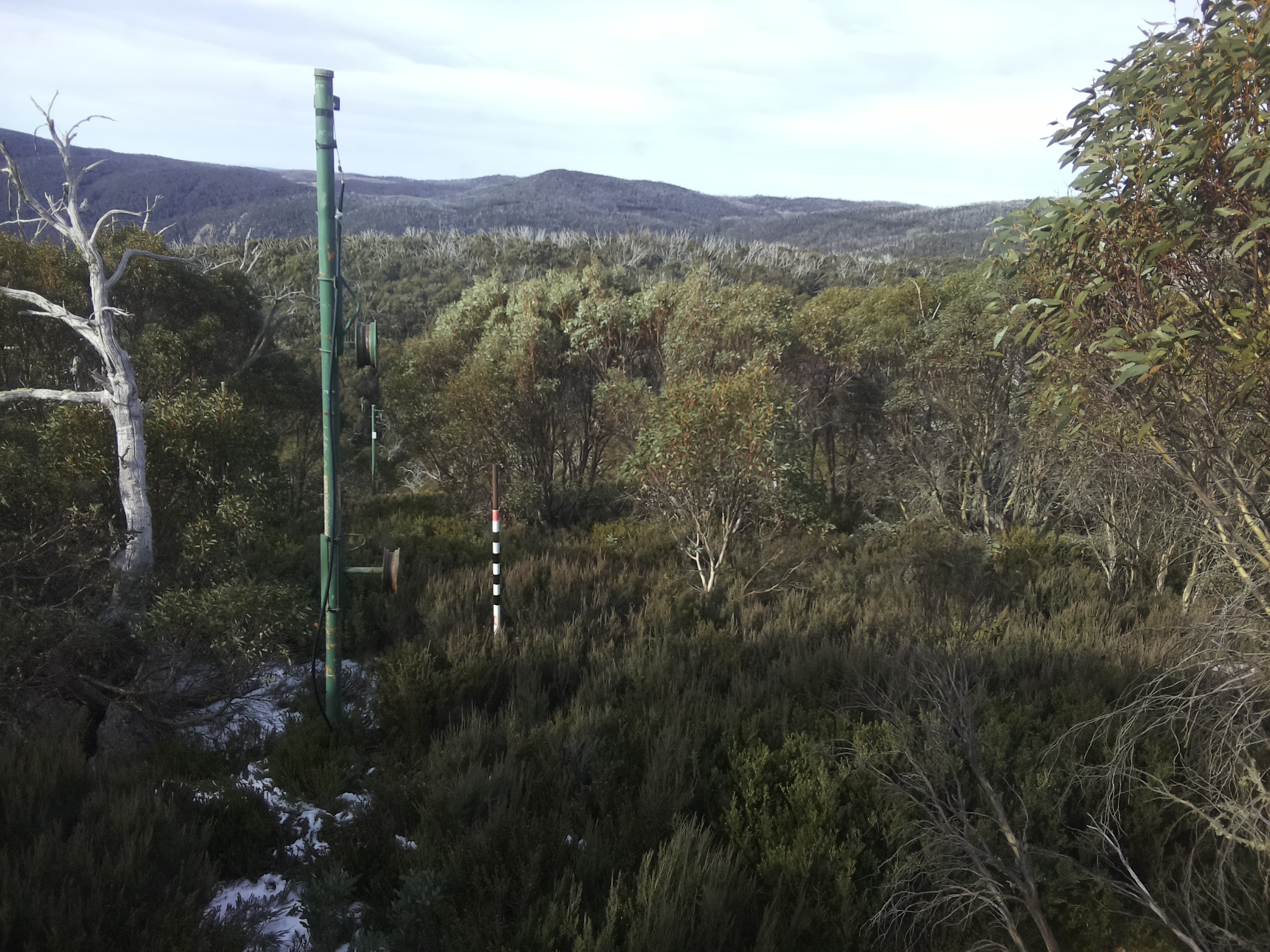 Bogong Web Cam 10:10am Monday 2nd of June 2025