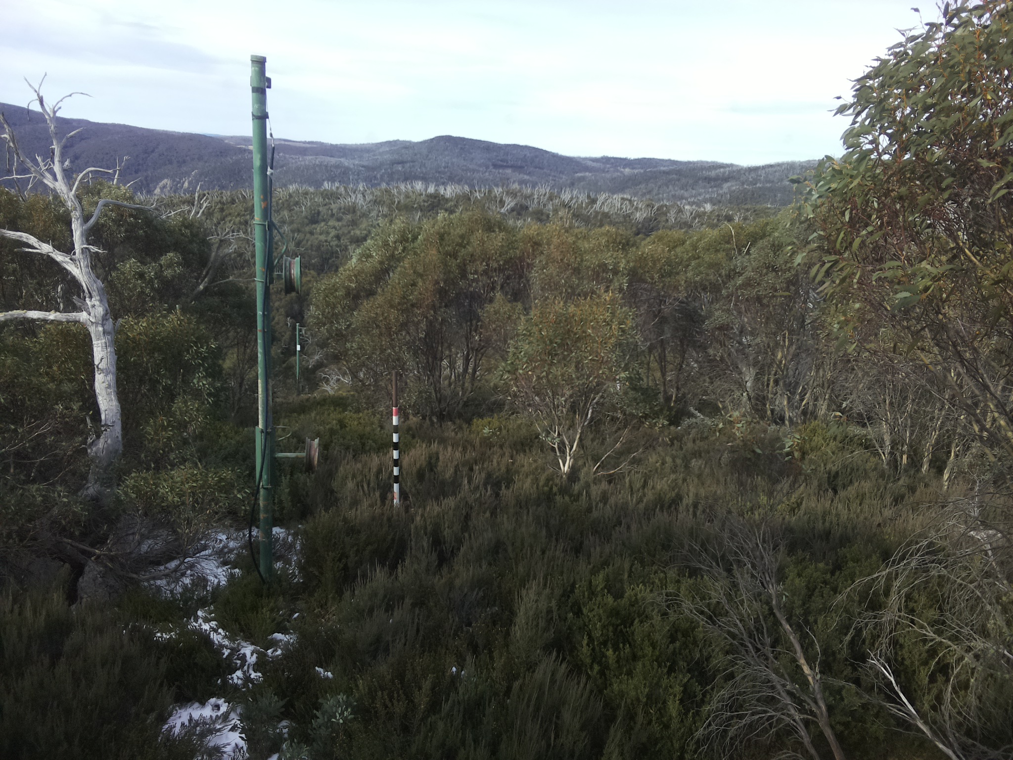 Bogong Web Cam 10:30am Monday 2nd of June 2025