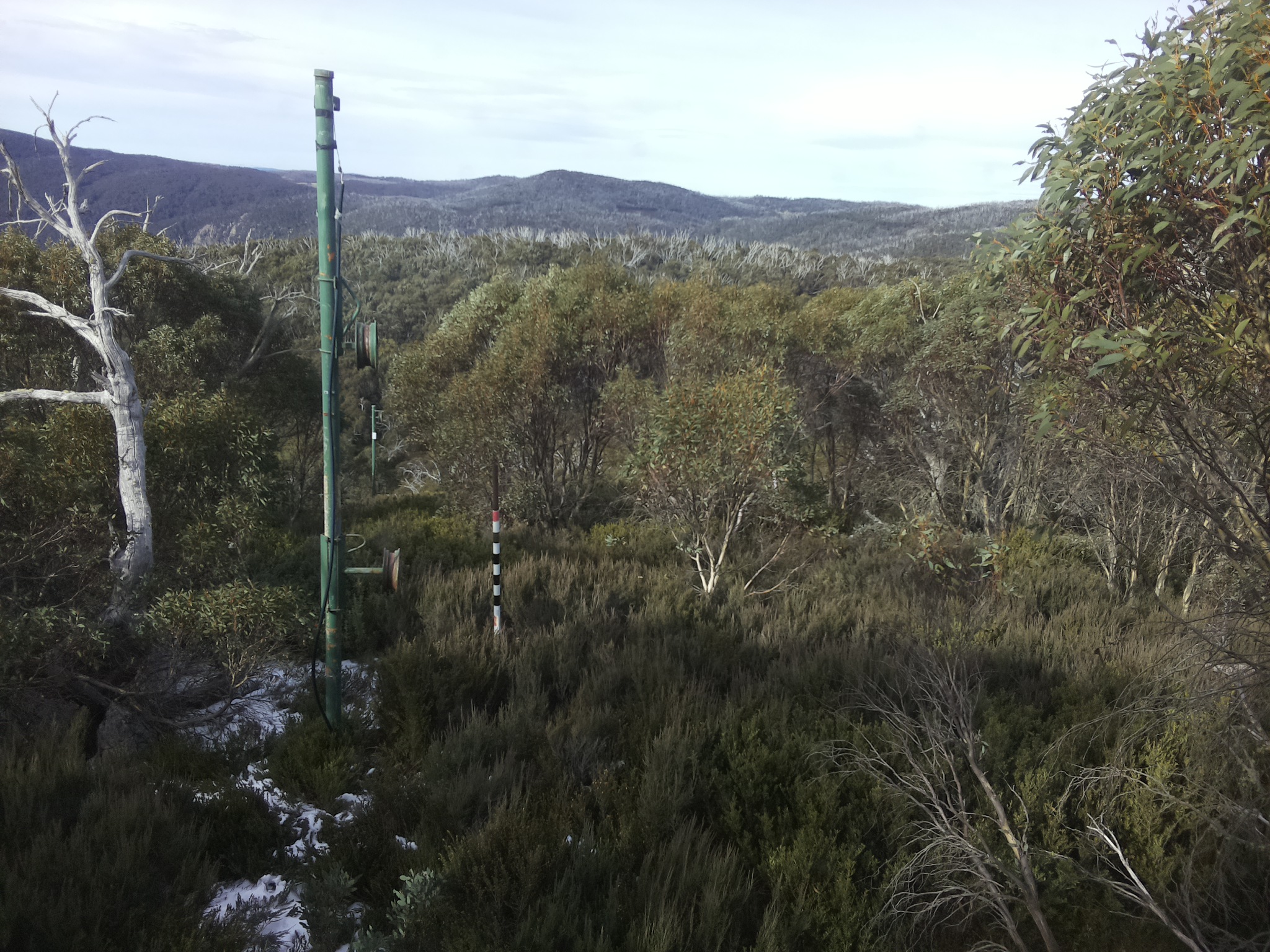 Bogong Web Cam 10:40am Monday 2nd of June 2025