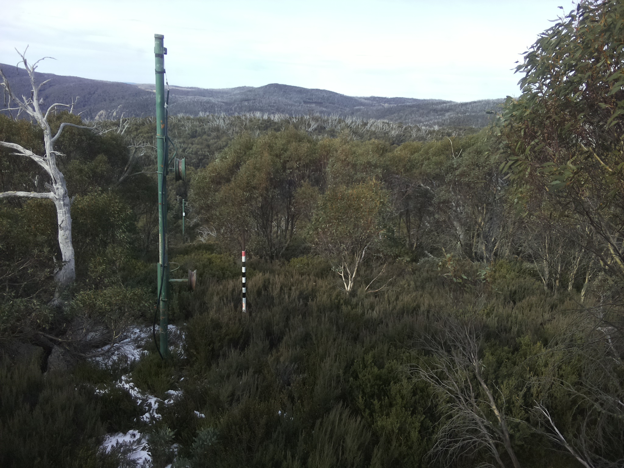 Bogong Web Cam 10:50am Monday 2nd of June 2025