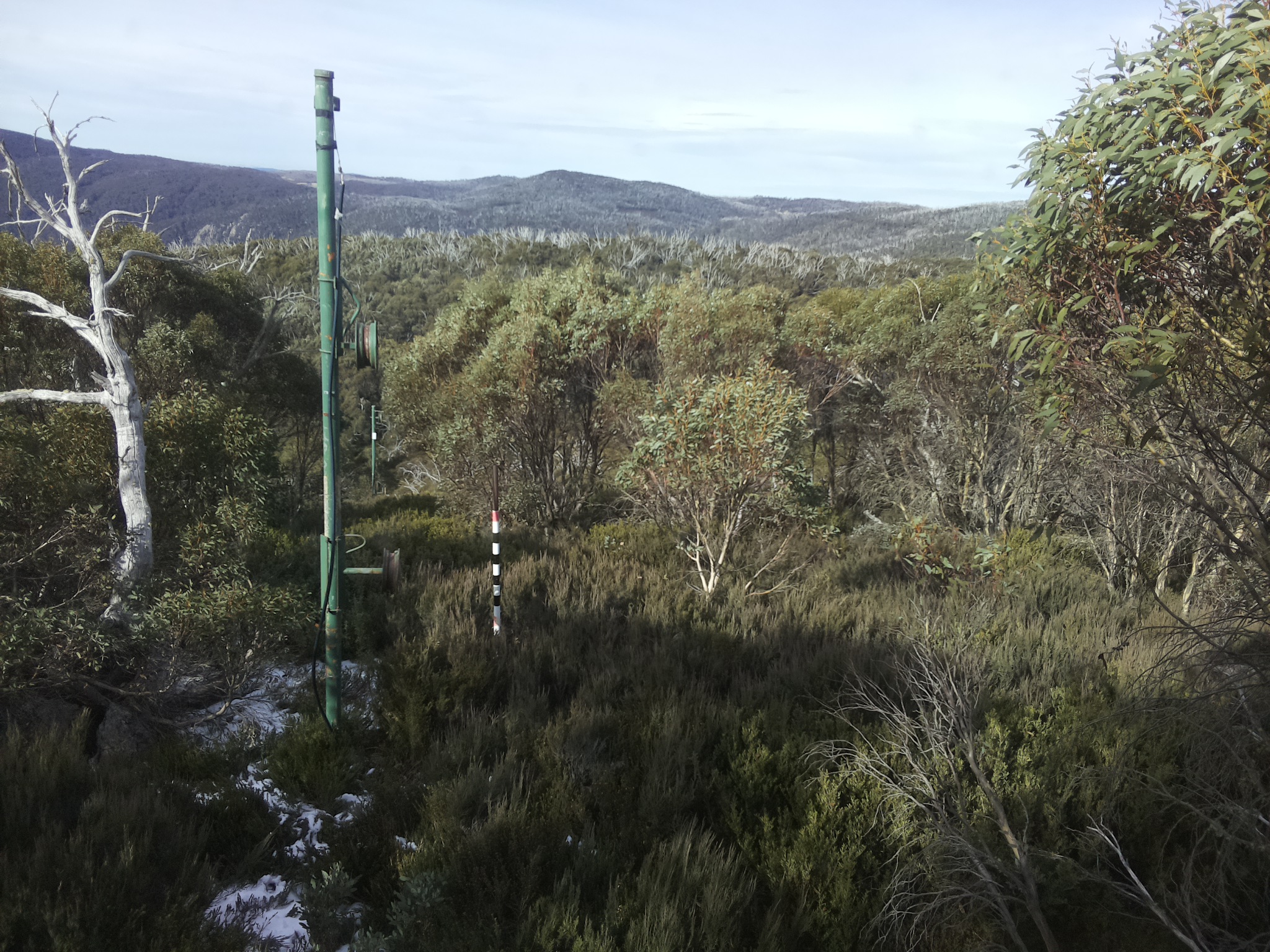 Bogong Web Cam 11:00am Monday 2nd of June 2025