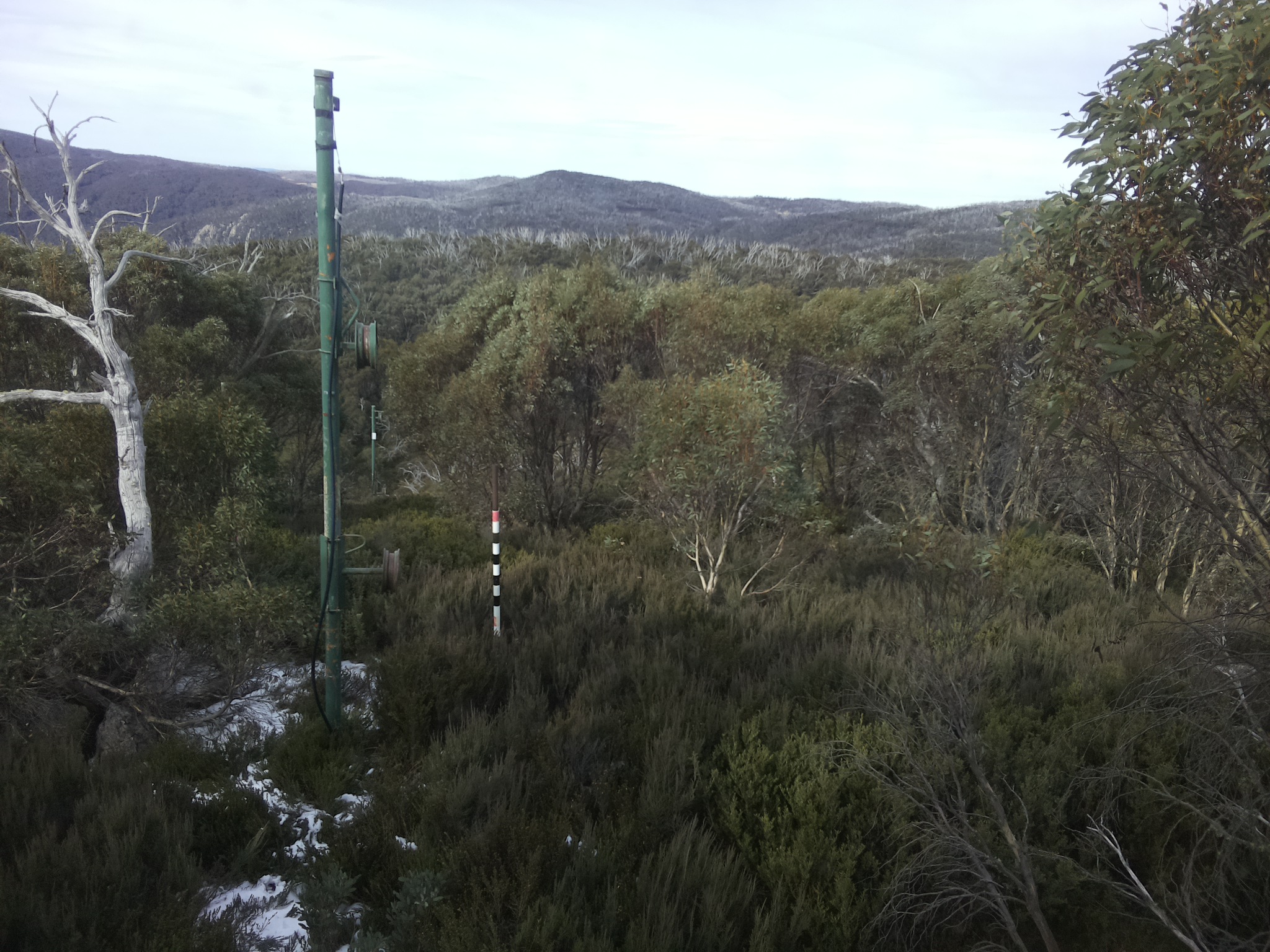 Bogong Web Cam 11:20am Monday 2nd of June 2025
