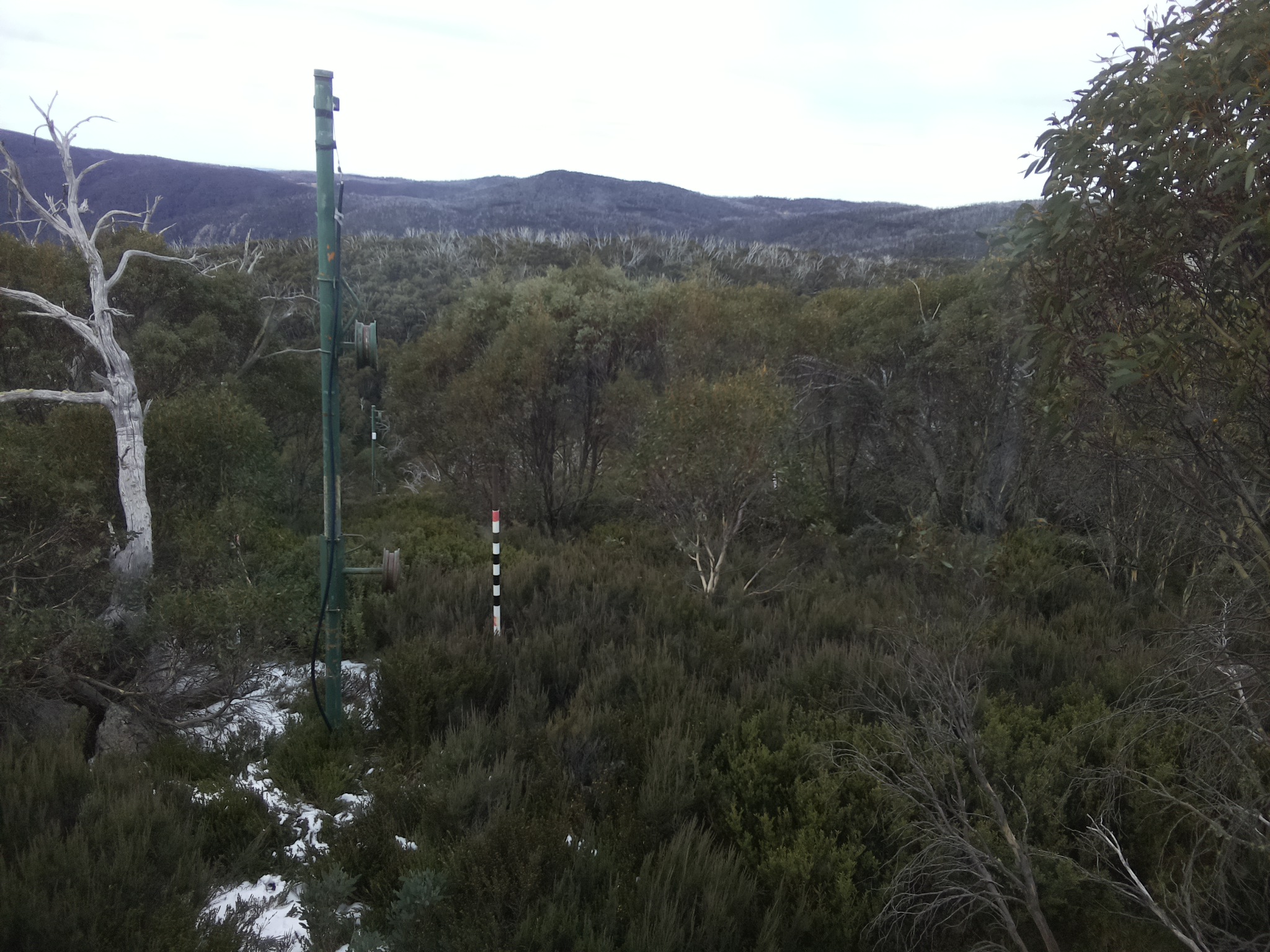 Bogong Web Cam 11:30am Monday 2nd of June 2025