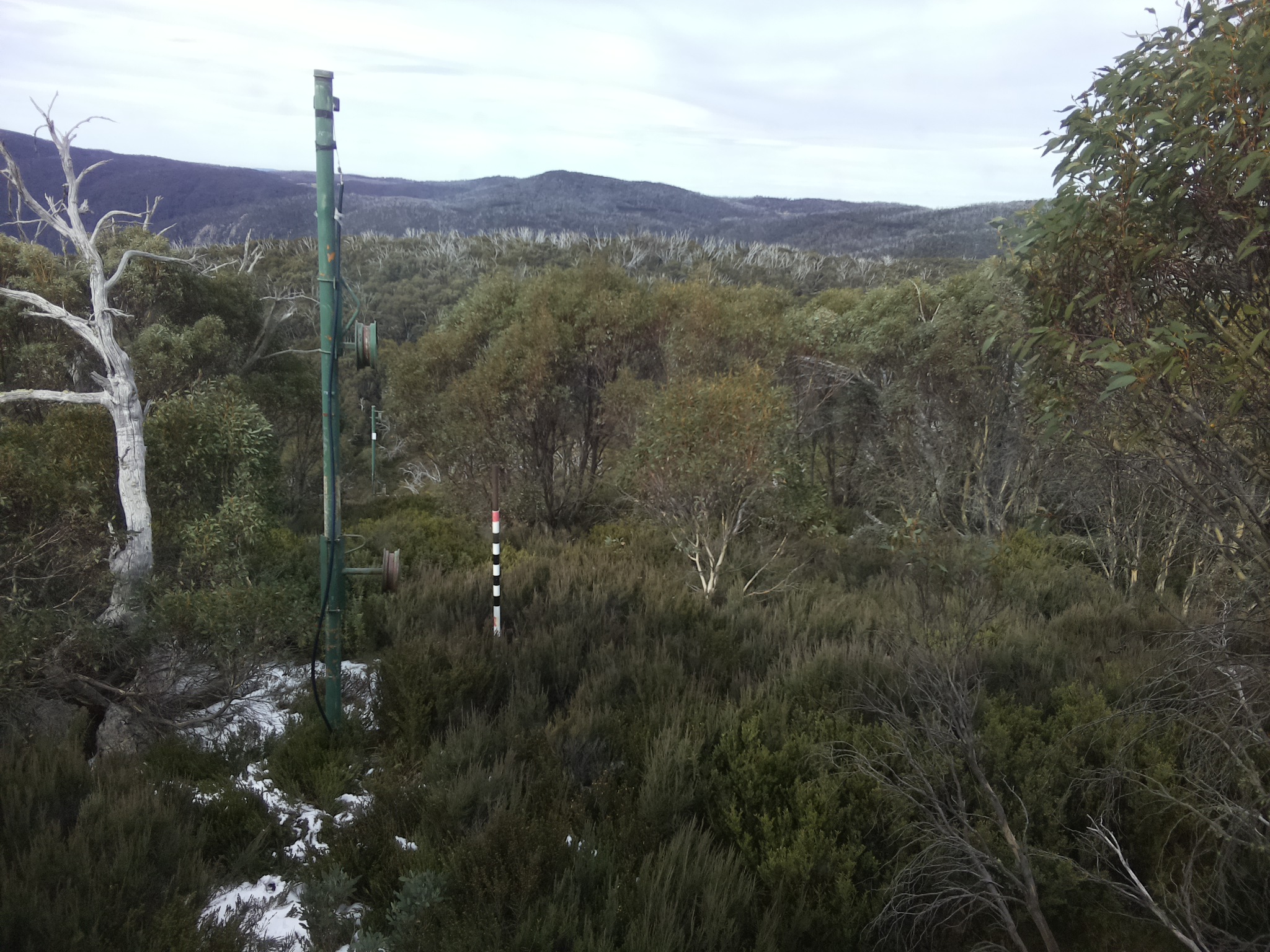Bogong Web Cam 11:40am Monday 2nd of June 2025