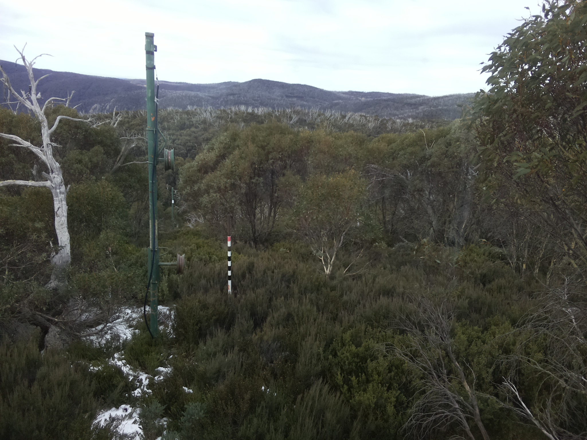 Bogong Web Cam 11:50am Monday 2nd of June 2025