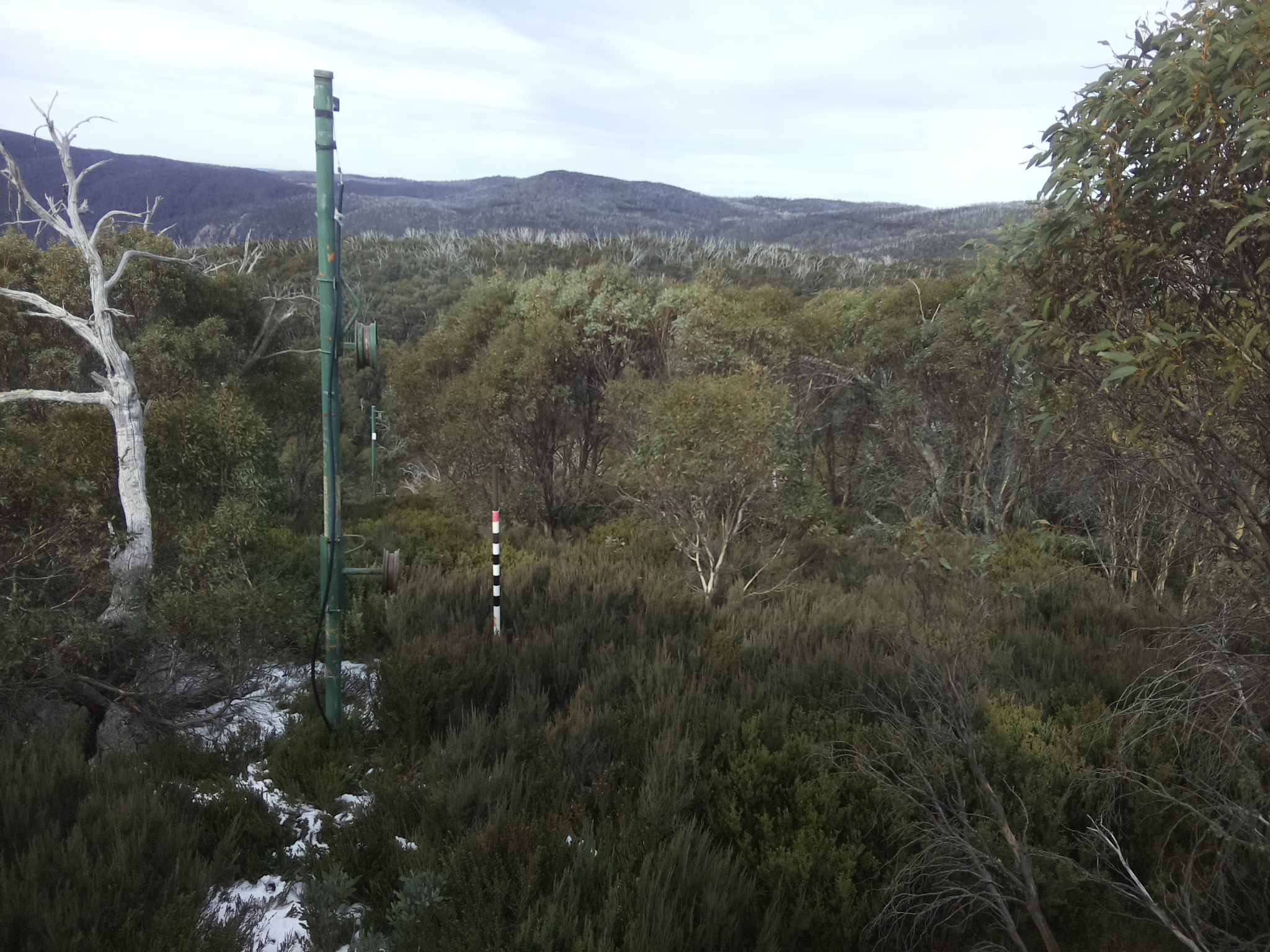 Bogong Web Cam 12:00pm Monday 2nd of June 2025