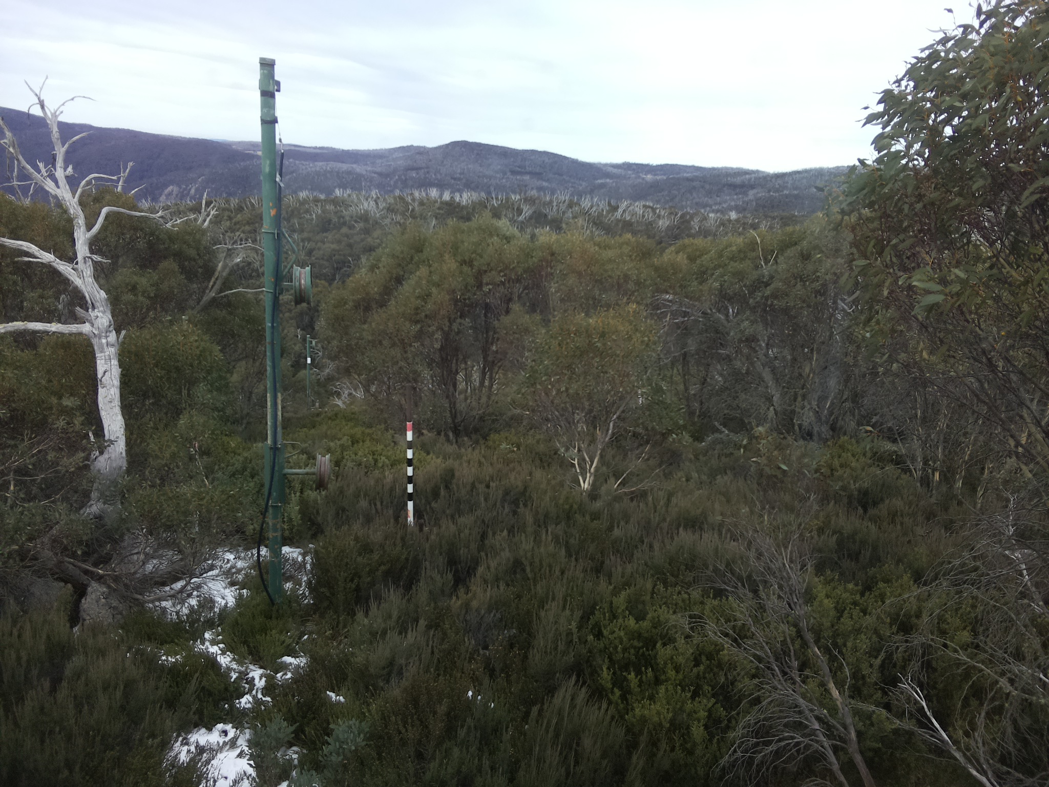 Bogong Web Cam 12:20pm Monday 2nd of June 2025