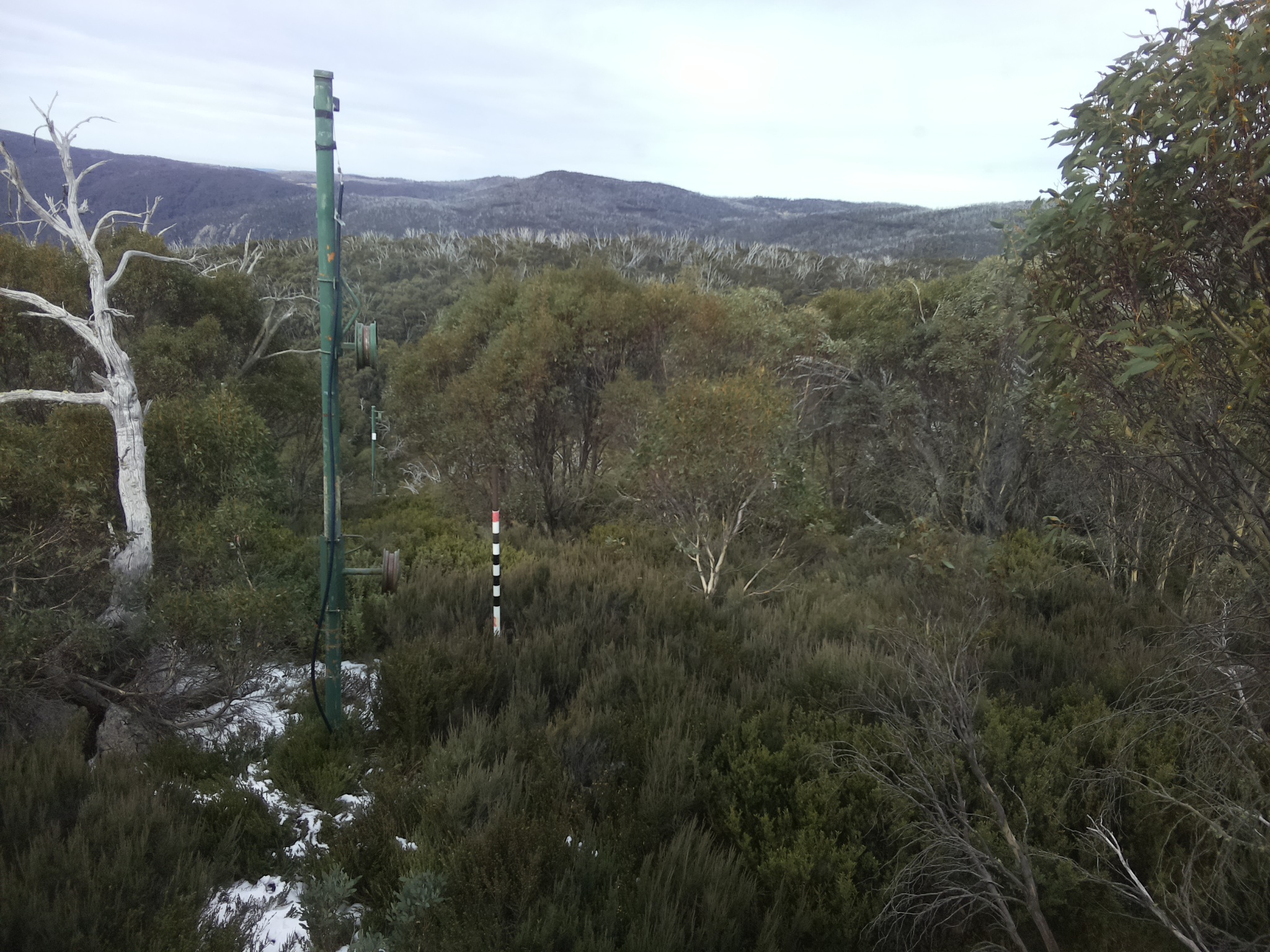 Bogong Web Cam 12:30pm Monday 2nd of June 2025