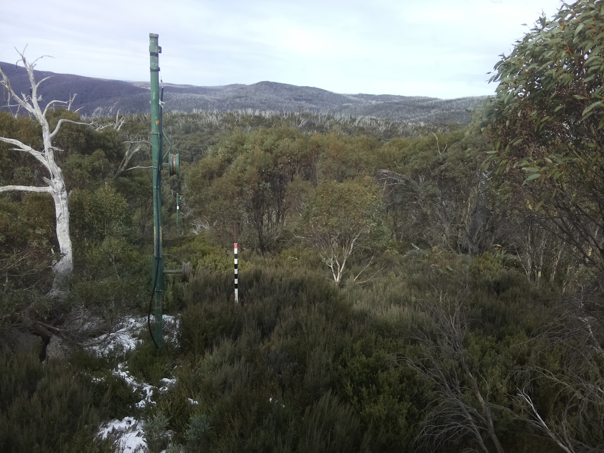 Bogong Web Cam 12:40pm Monday 2nd of June 2025