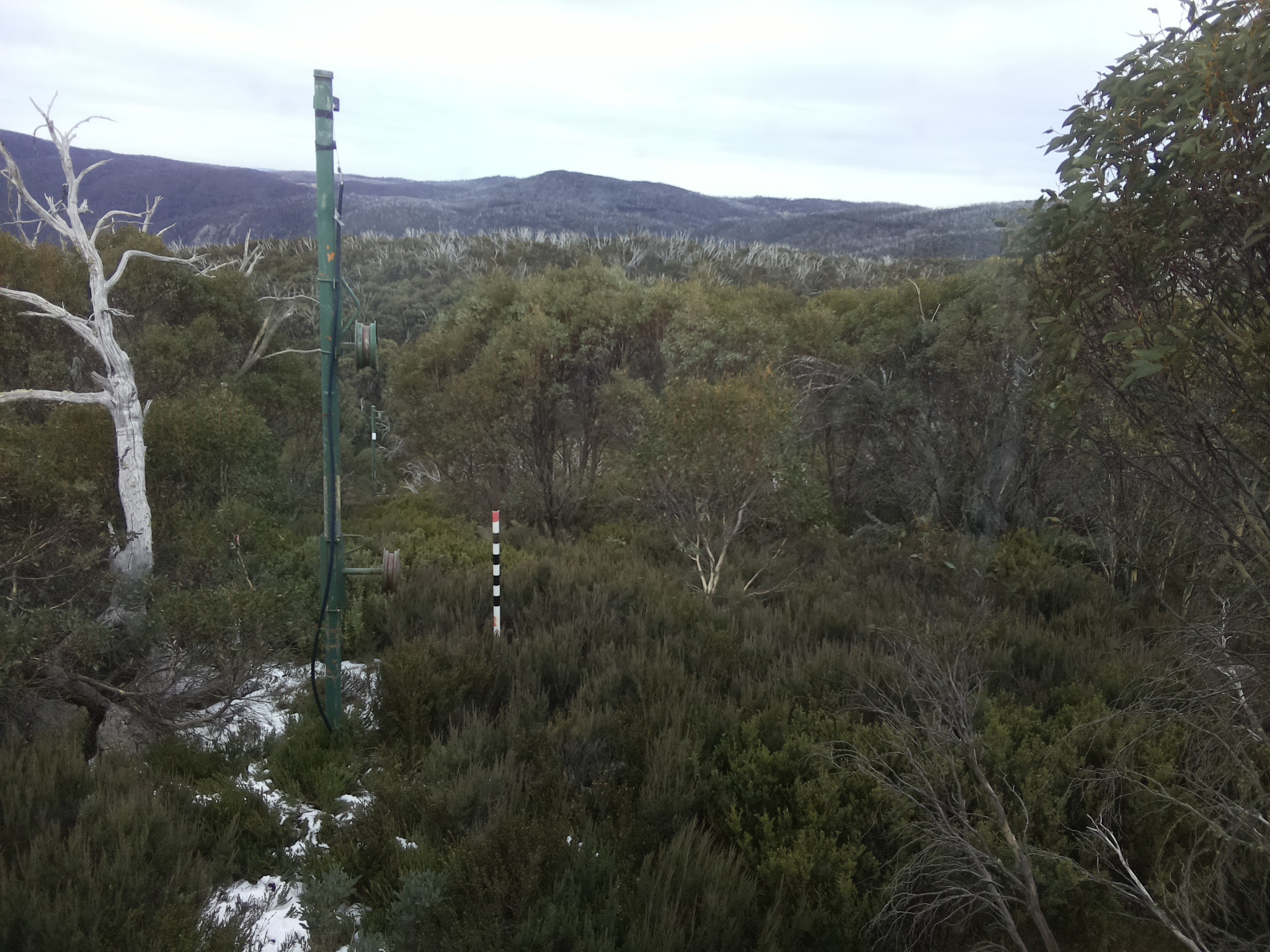 Bogong Web Cam 1:10pm Monday 2nd of June 2025
