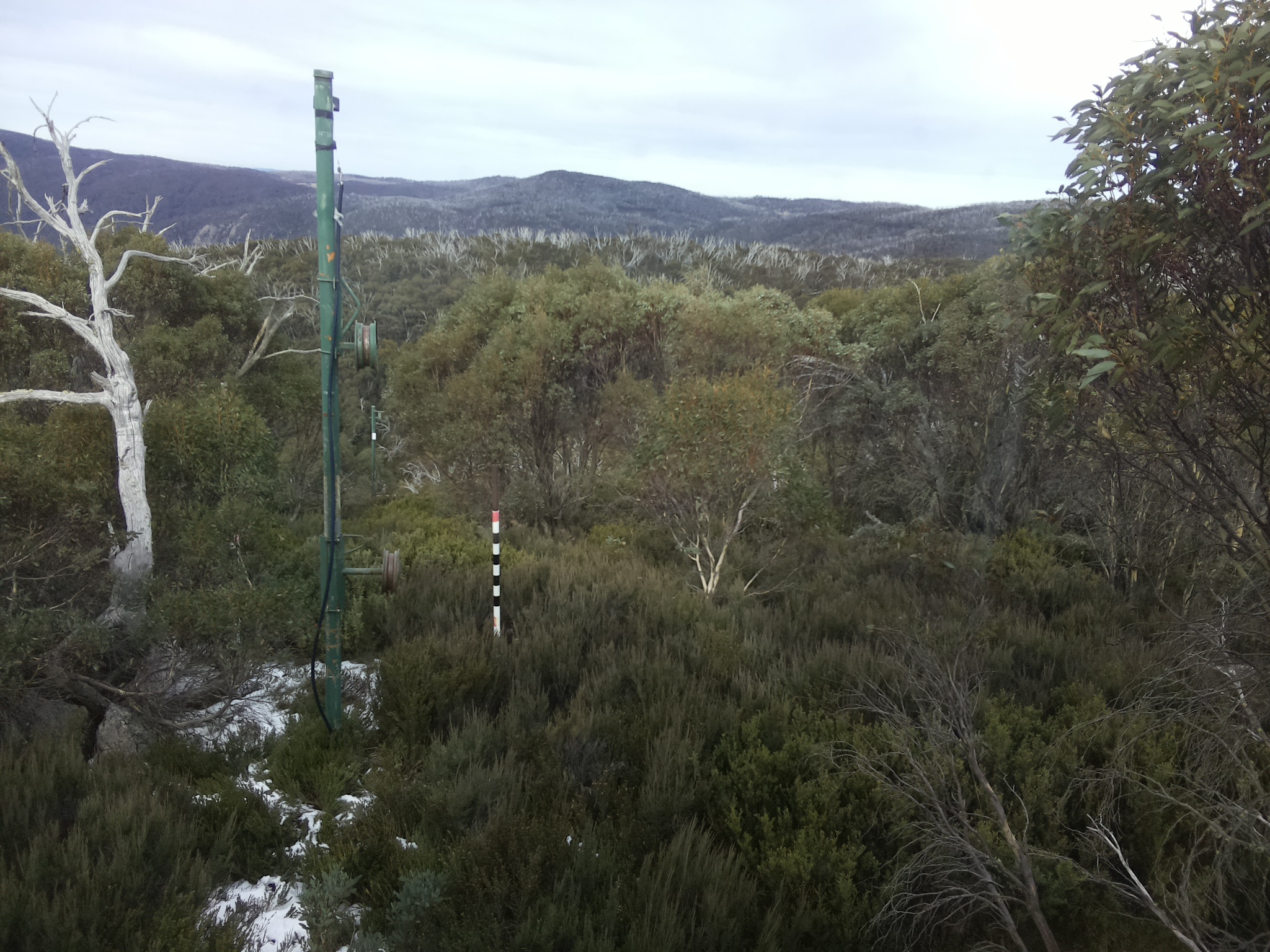 Bogong Web Cam 1:20pm Monday 2nd of June 2025