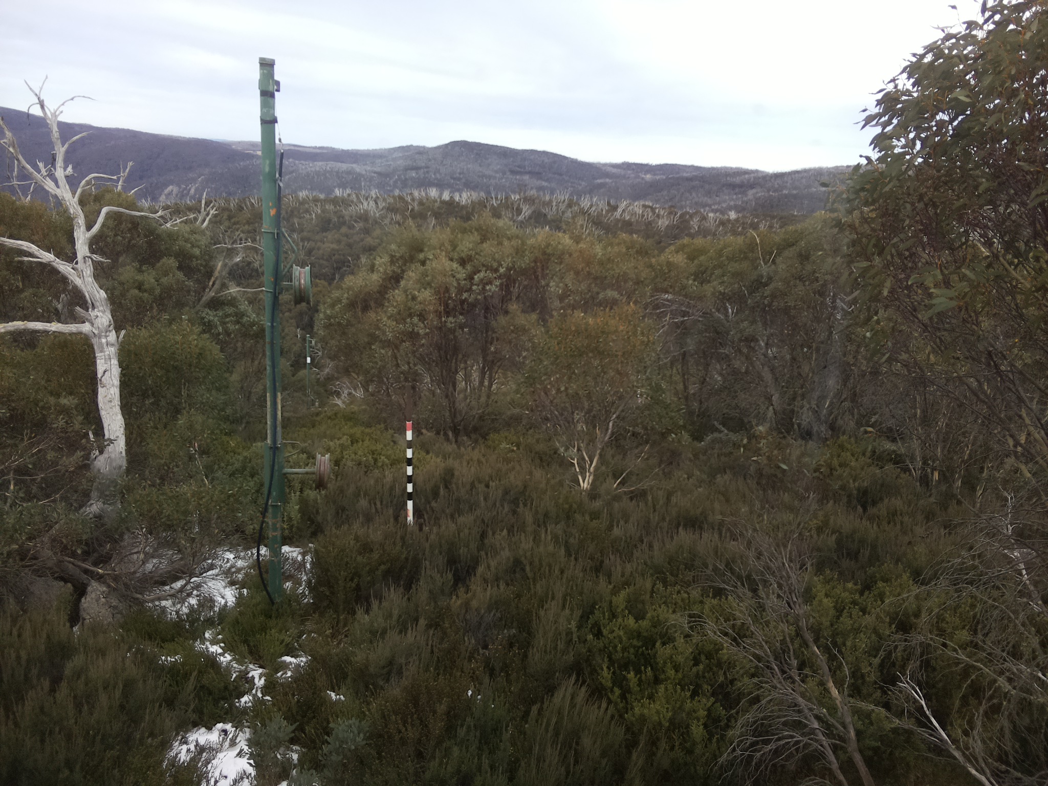 Bogong Web Cam 1:30pm Monday 2nd of June 2025