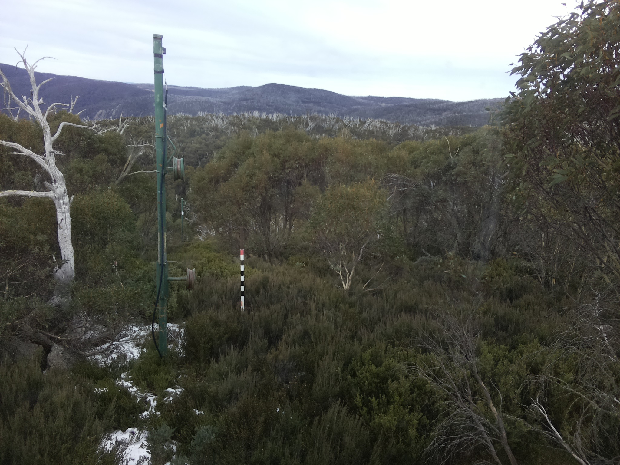 Bogong Web Cam 1:40pm Monday 2nd of June 2025
