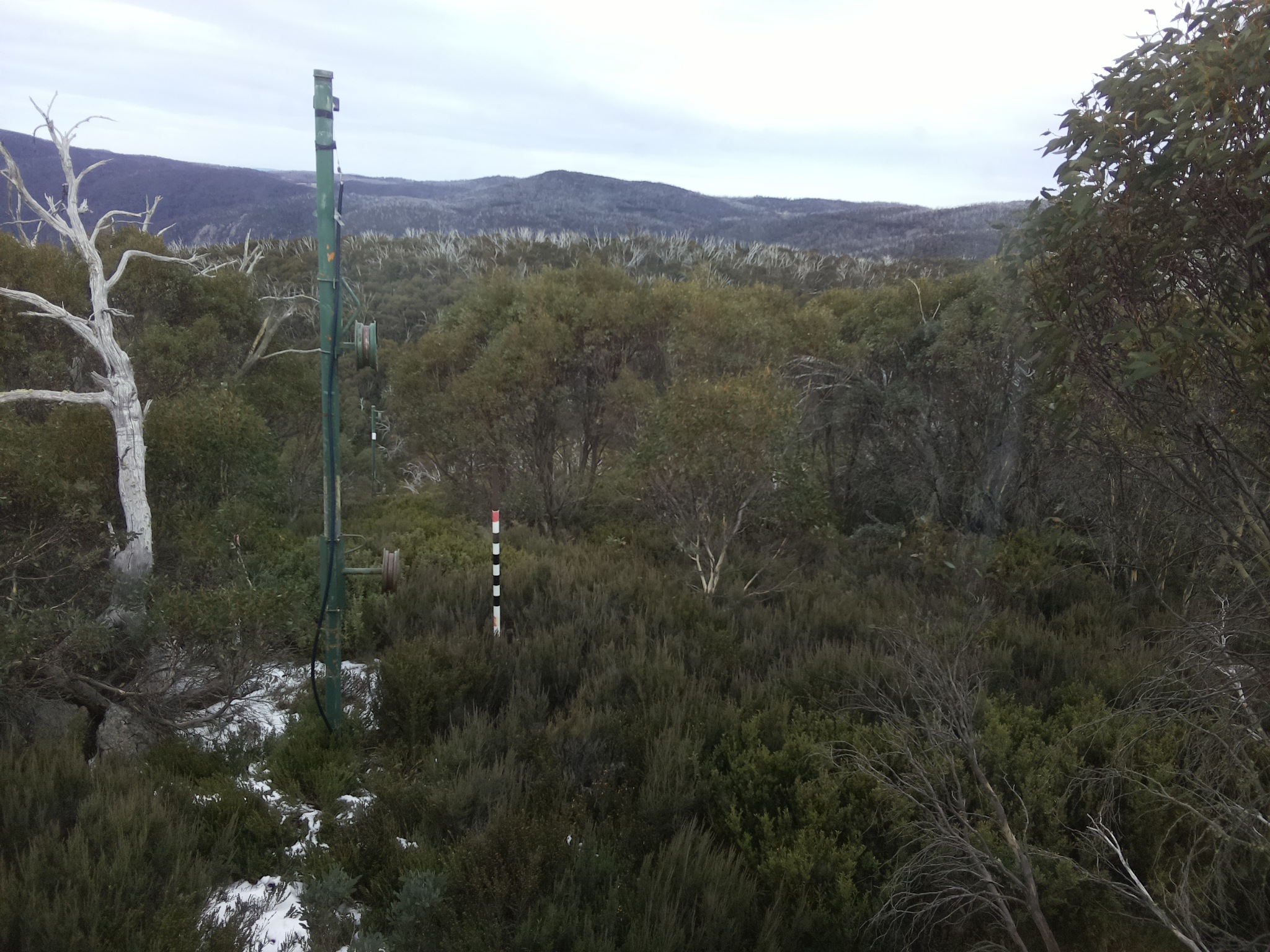 Bogong Web Cam 1:50pm Monday 2nd of June 2025