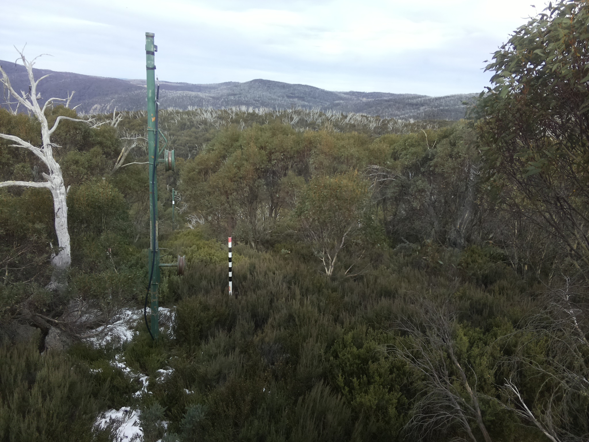 Bogong Web Cam 2:00pm Monday 2nd of June 2025