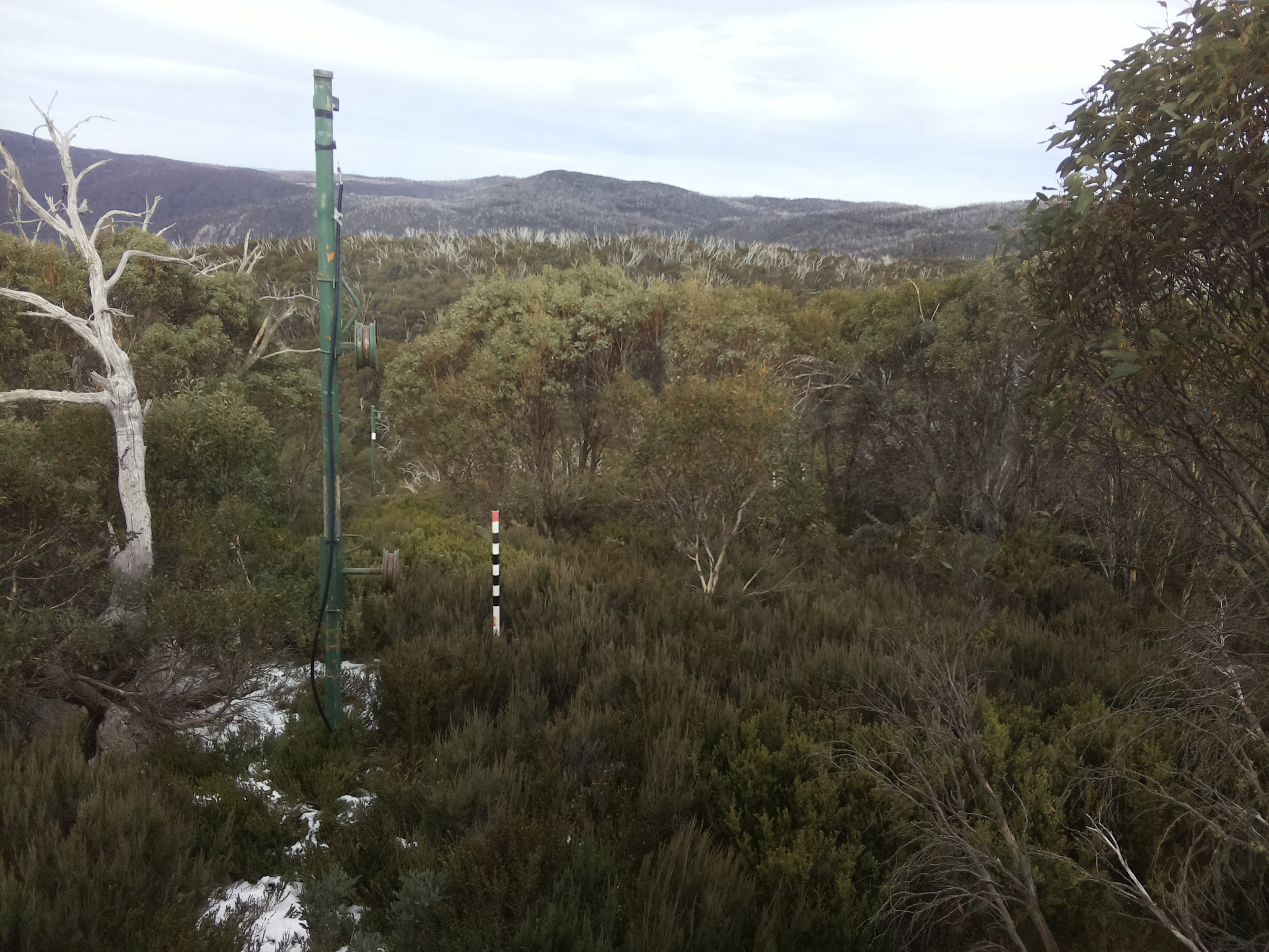 Bogong Web Cam 2:10pm Monday 2nd of June 2025