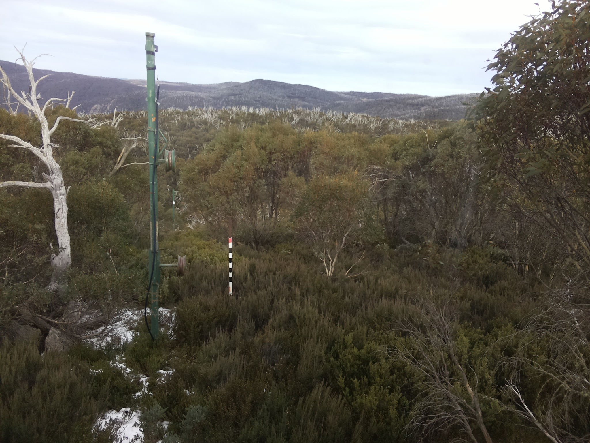 Bogong Web Cam 2:20pm Monday 2nd of June 2025