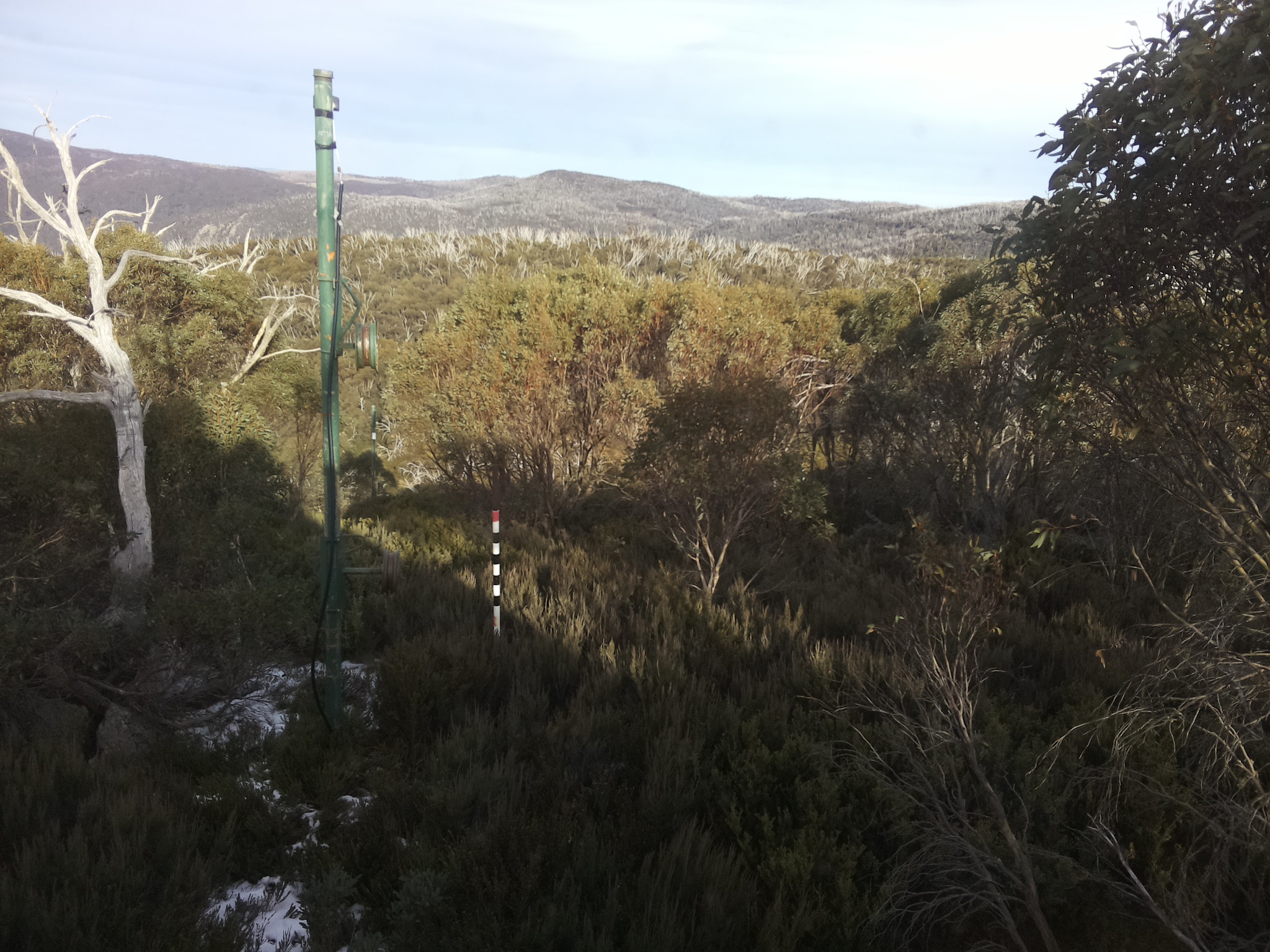 Bogong Web Cam 2:50pm Monday 2nd of June 2025