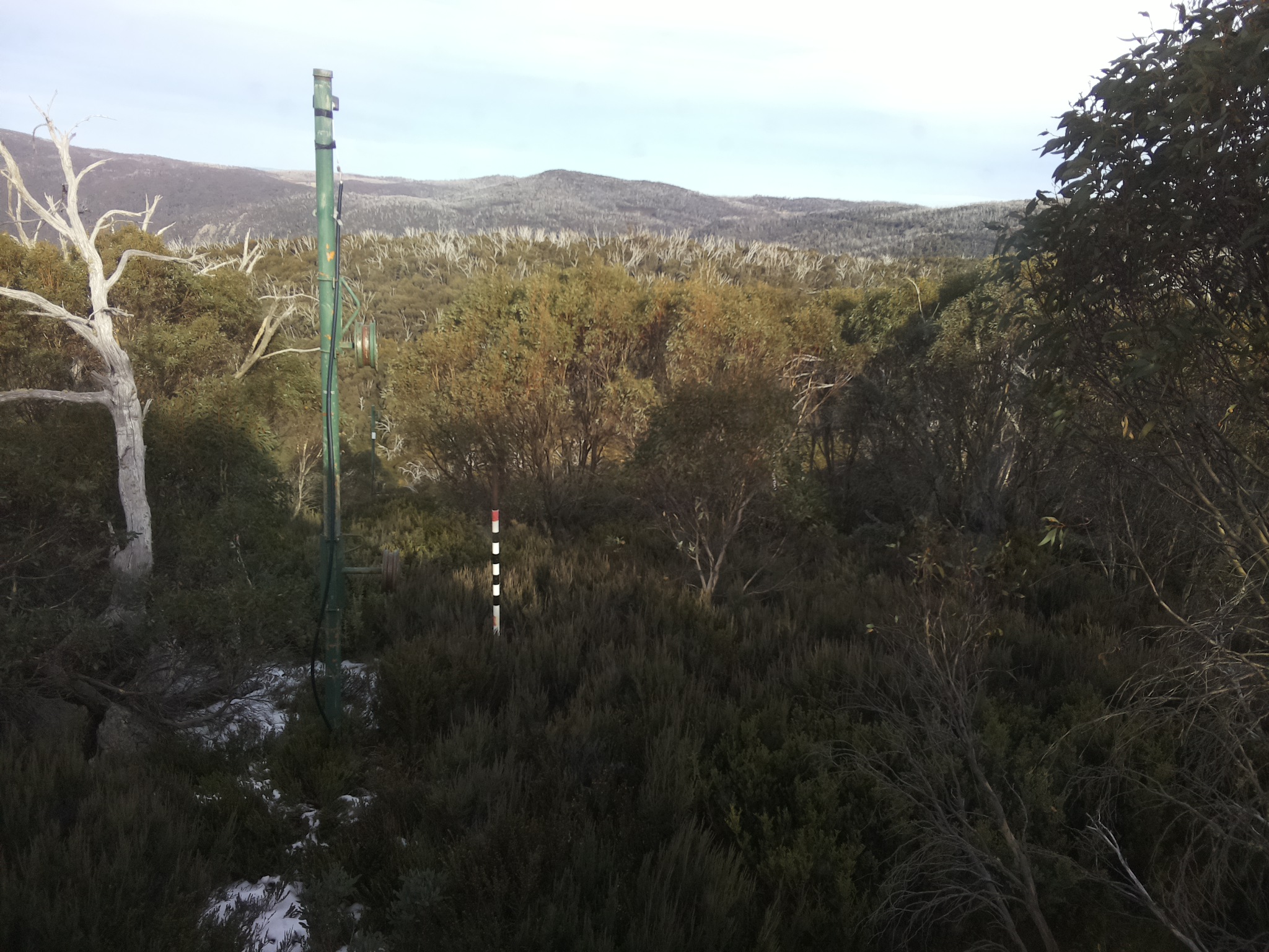 Bogong Web Cam 3:00pm Monday 2nd of June 2025