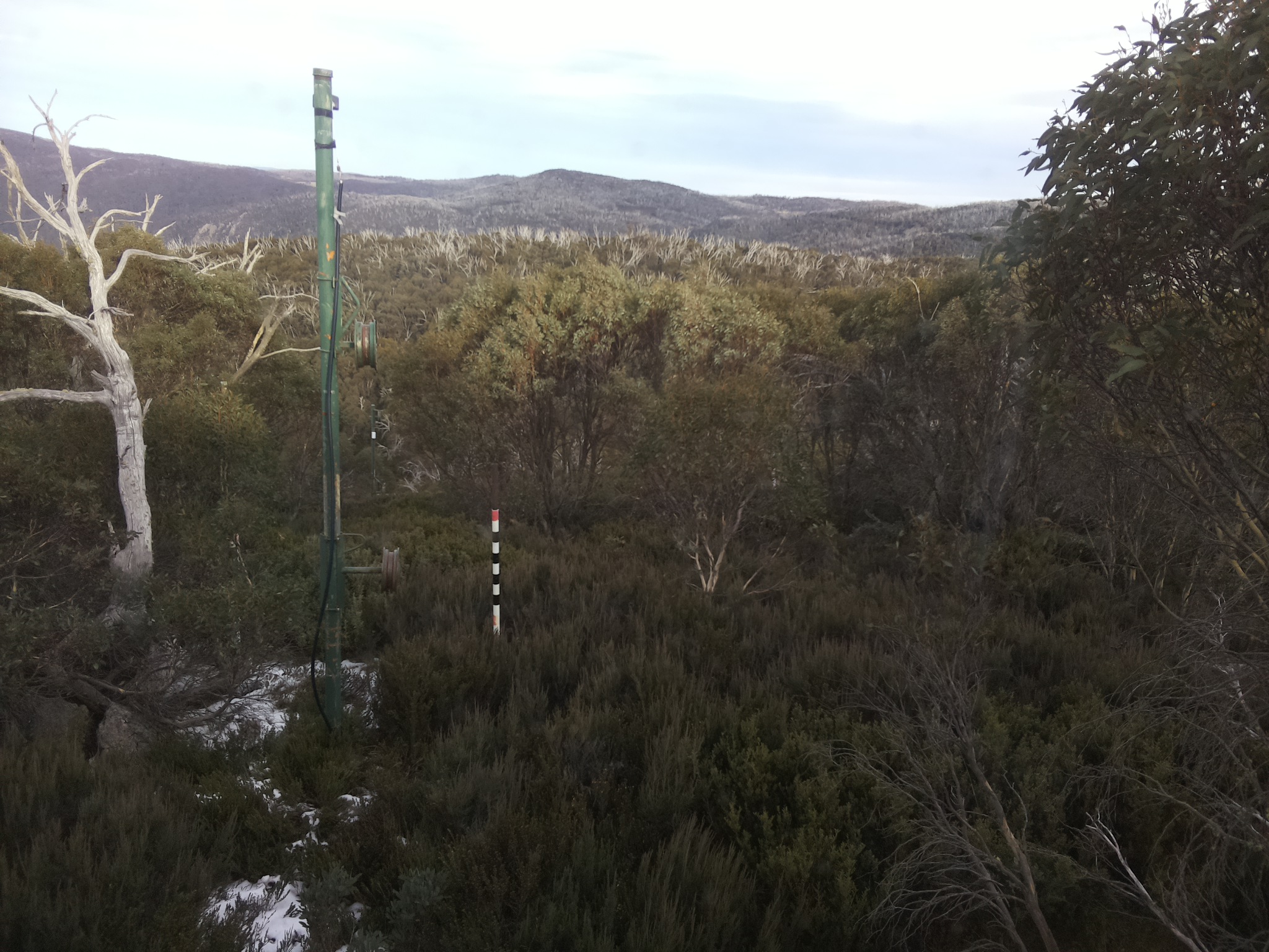 Bogong Web Cam 3:30pm Monday 2nd of June 2025