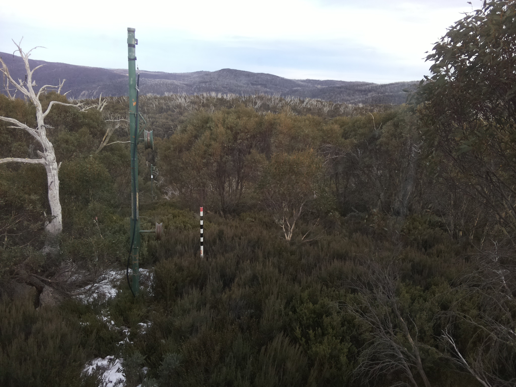 Bogong Web Cam 4:00pm Monday 2nd of June 2025