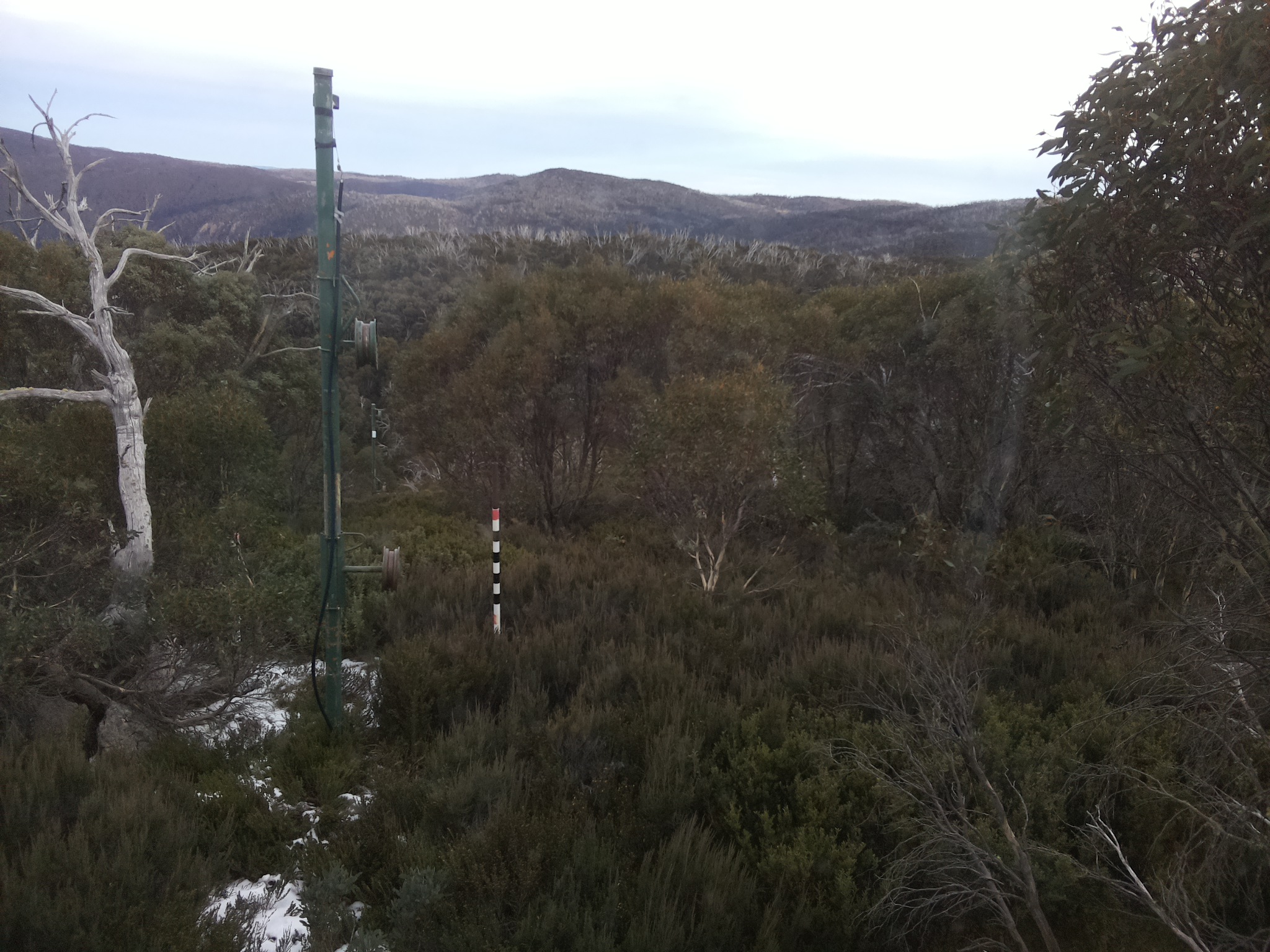 Bogong Web Cam 4:30pm Monday 2nd of June 2025