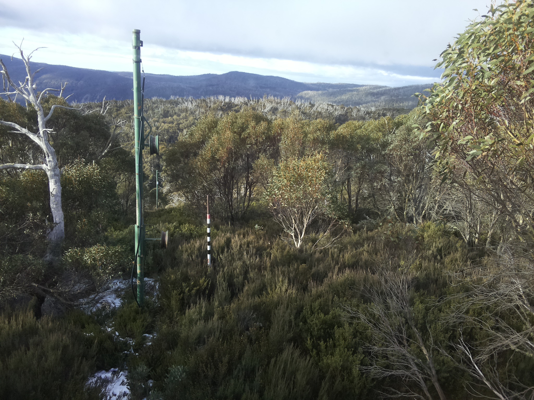 Bogong Web Cam 8:50am Tuesday 3rd of June 2025