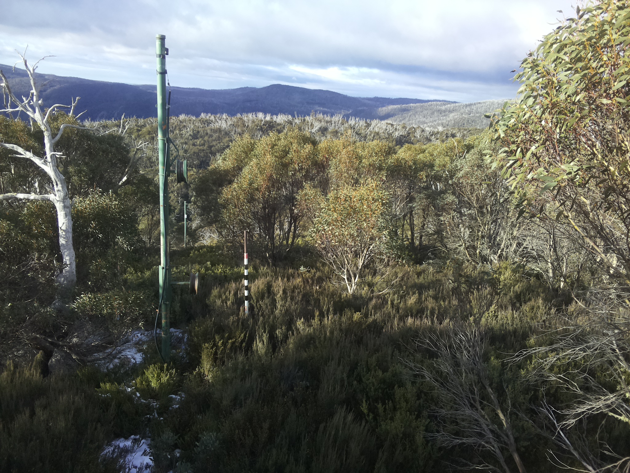 Bogong Web Cam 9:10am Tuesday 3rd of June 2025