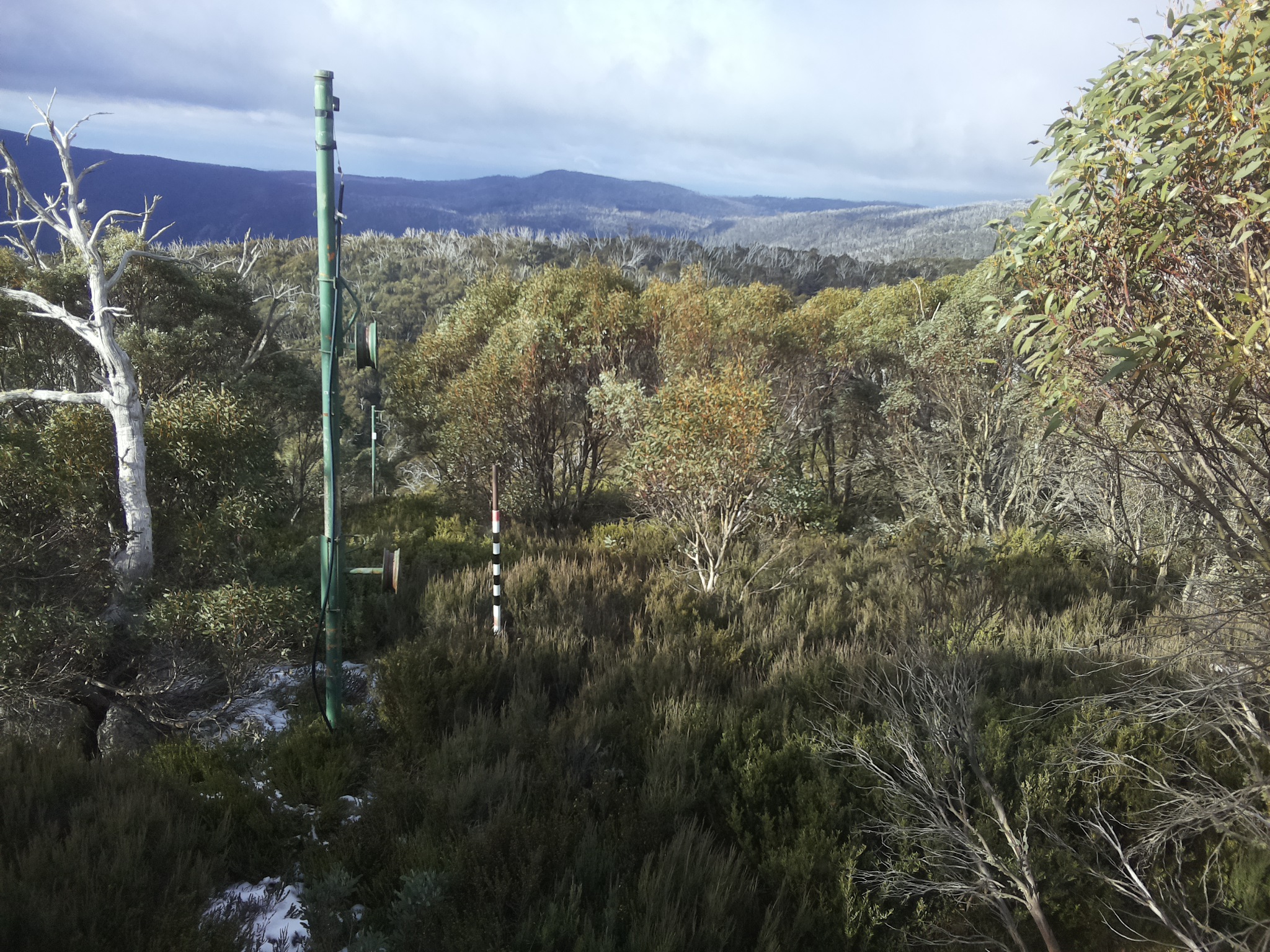 Bogong Web Cam 9:40am Tuesday 3rd of June 2025