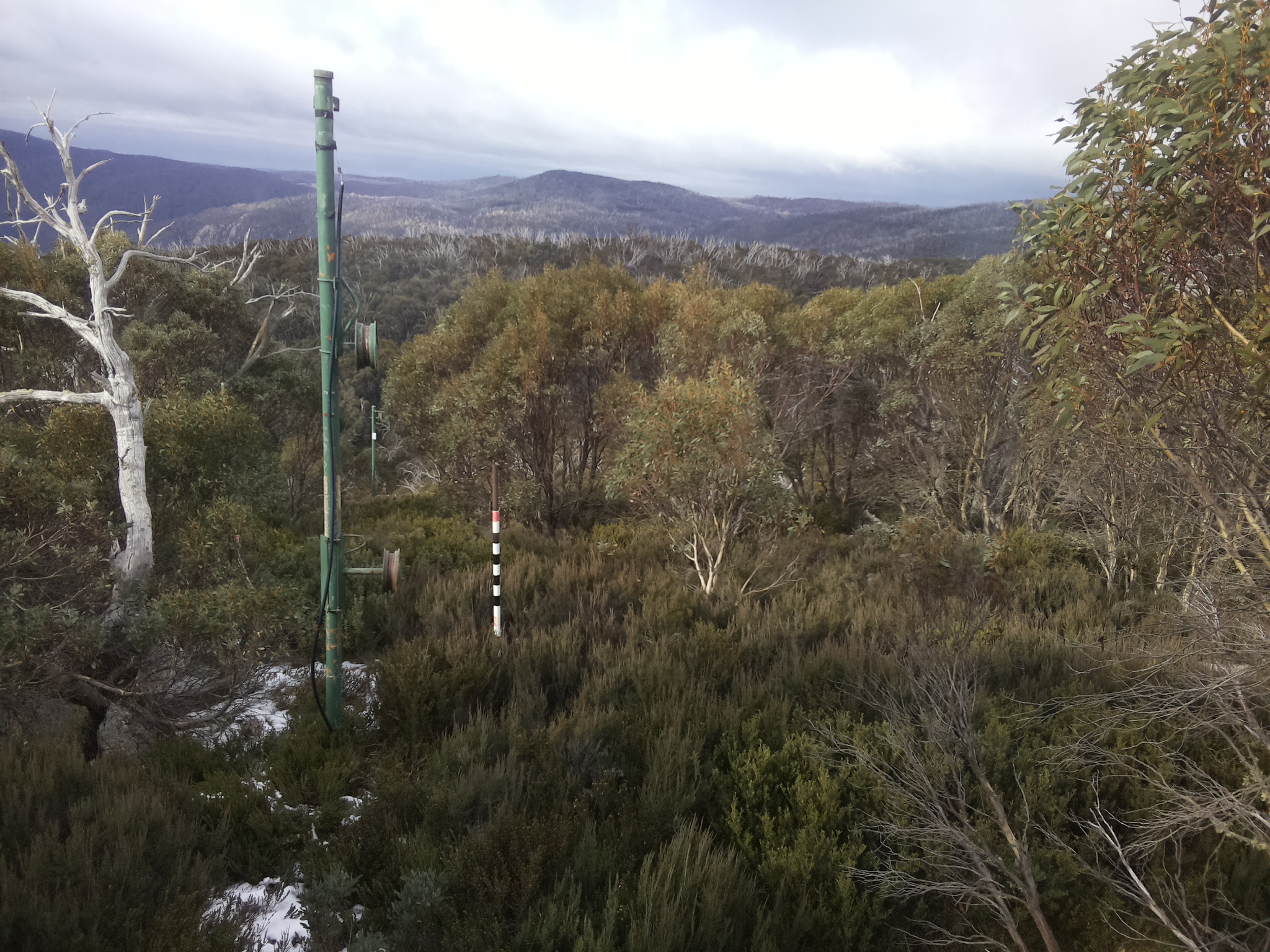 Bogong Web Cam 10:10am Tuesday 3rd of June 2025