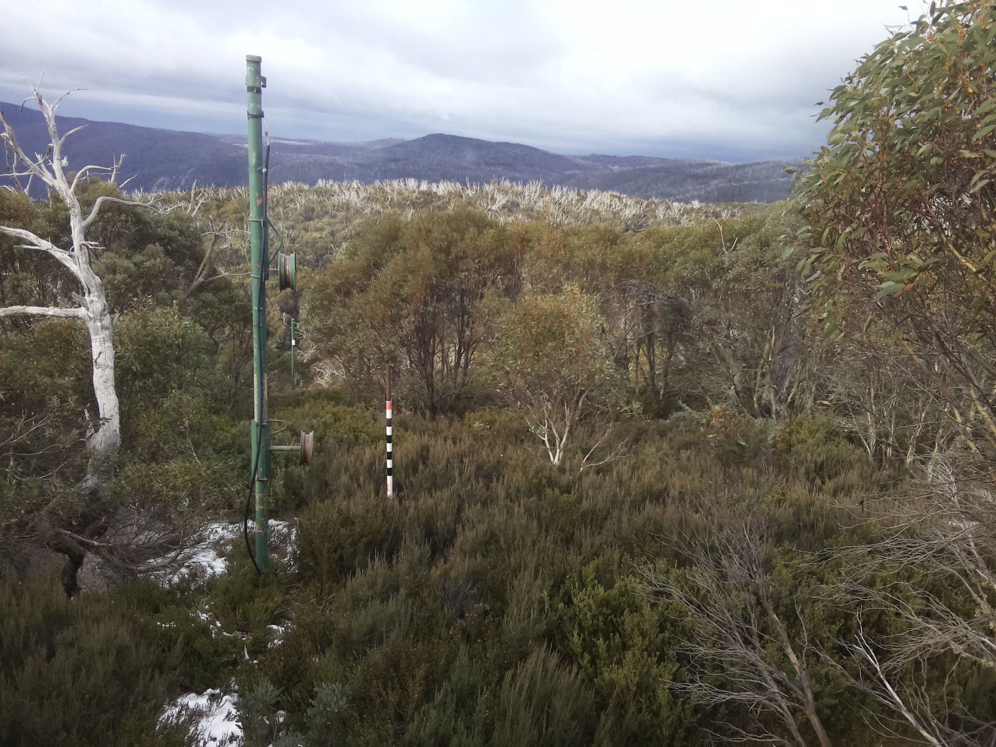 Bogong Web Cam 10:20am Tuesday 3rd of June 2025