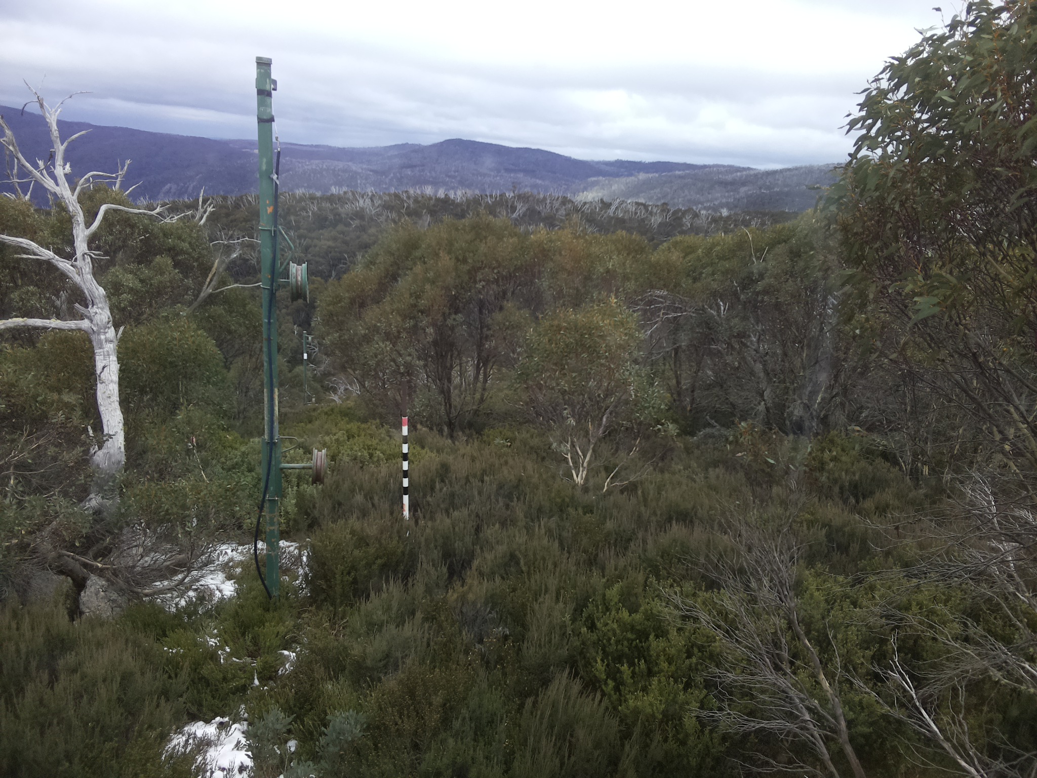 Bogong Web Cam 10:50am Tuesday 3rd of June 2025