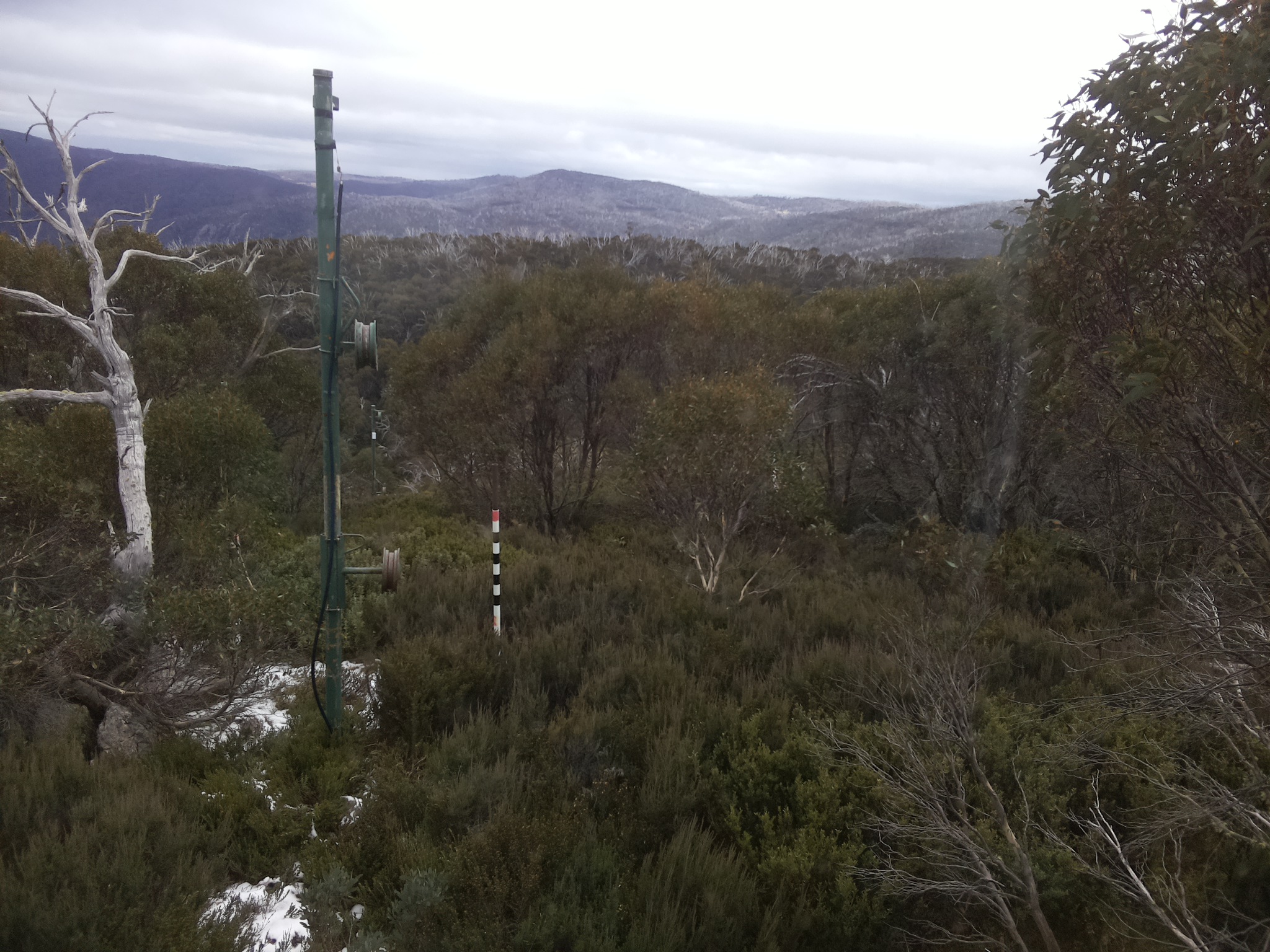 Bogong Web Cam 11:10am Tuesday 3rd of June 2025