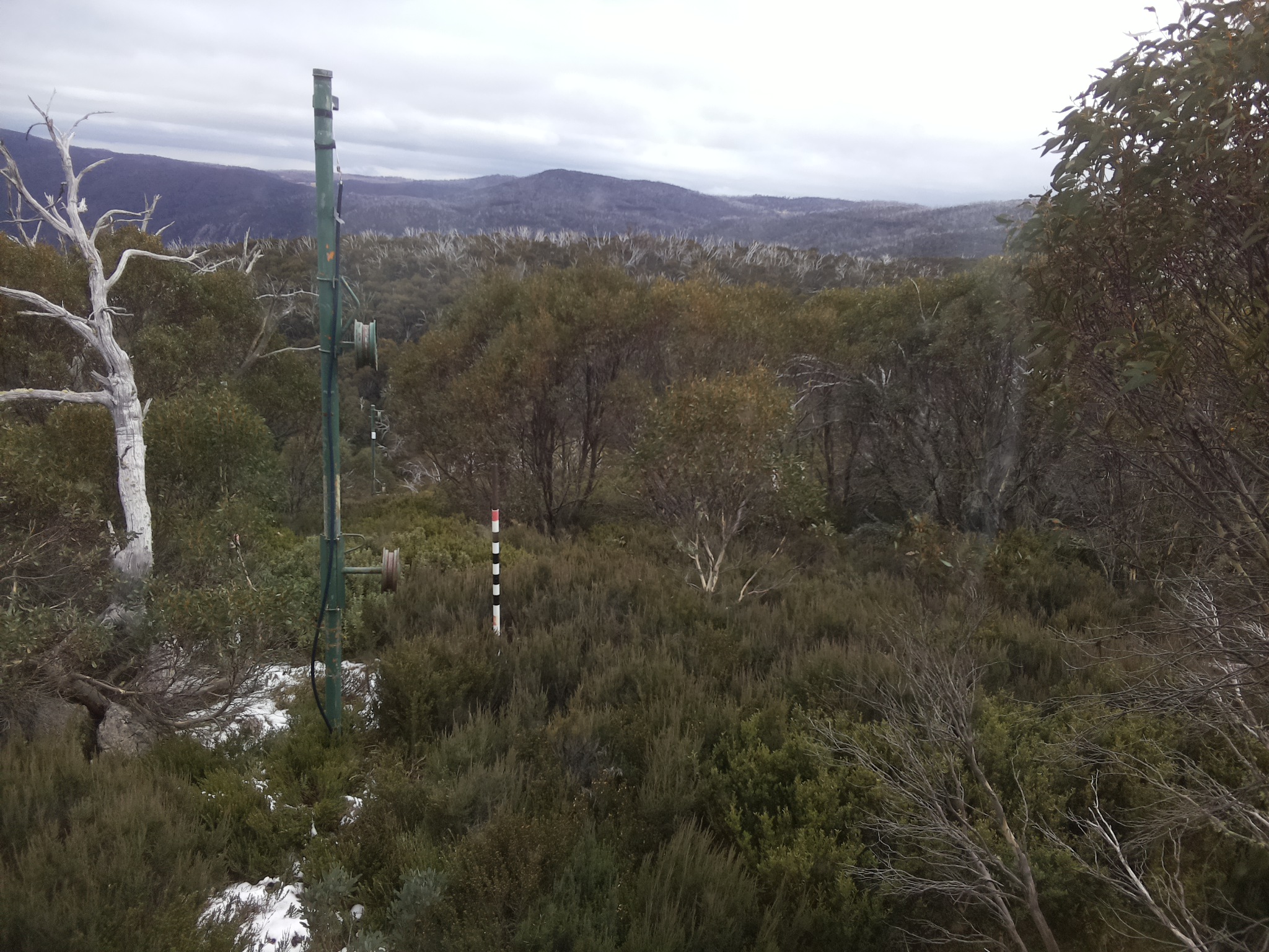 Bogong Web Cam 11:30am Tuesday 3rd of June 2025
