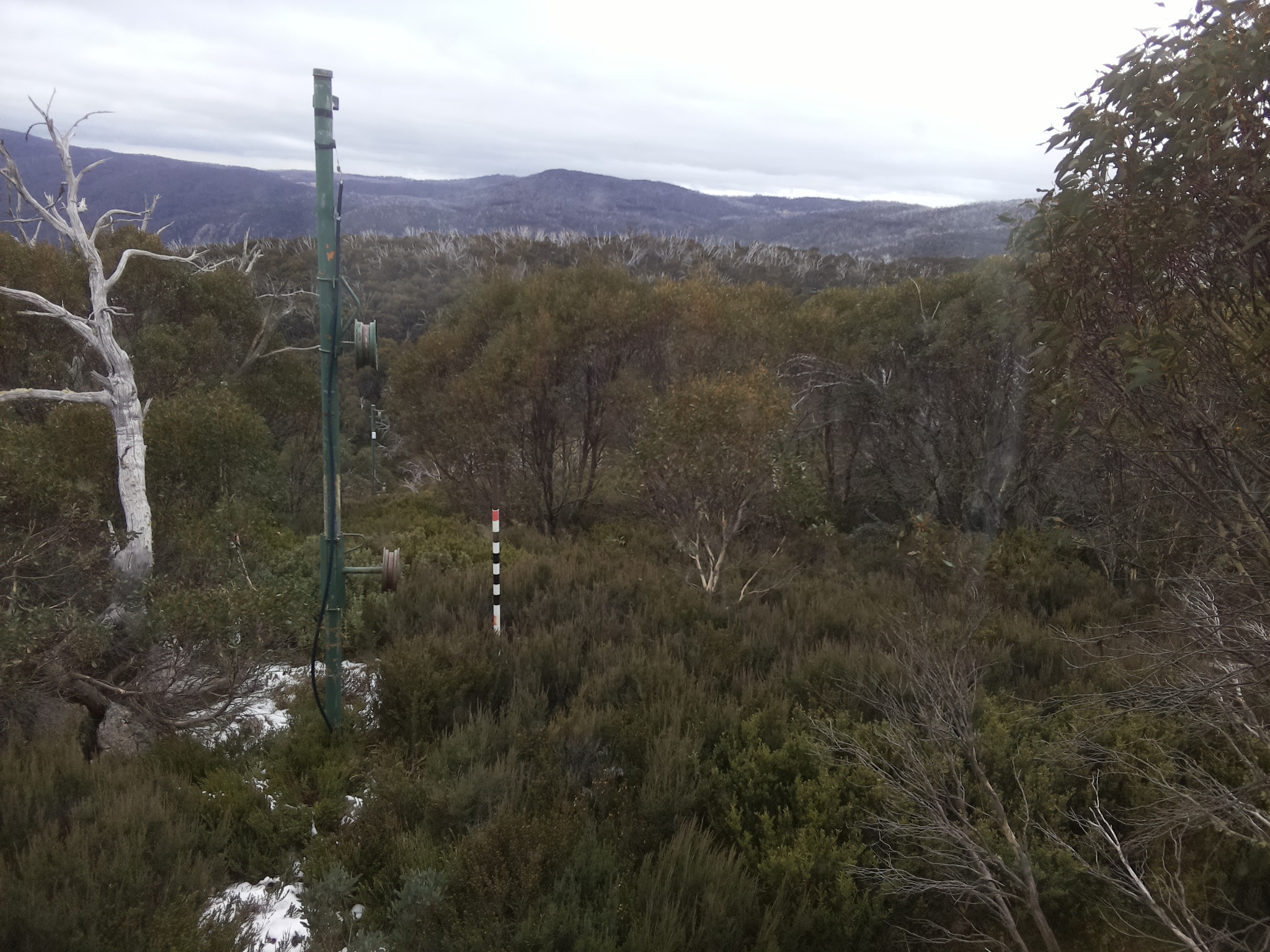 Bogong Web Cam 11:40am Tuesday 3rd of June 2025