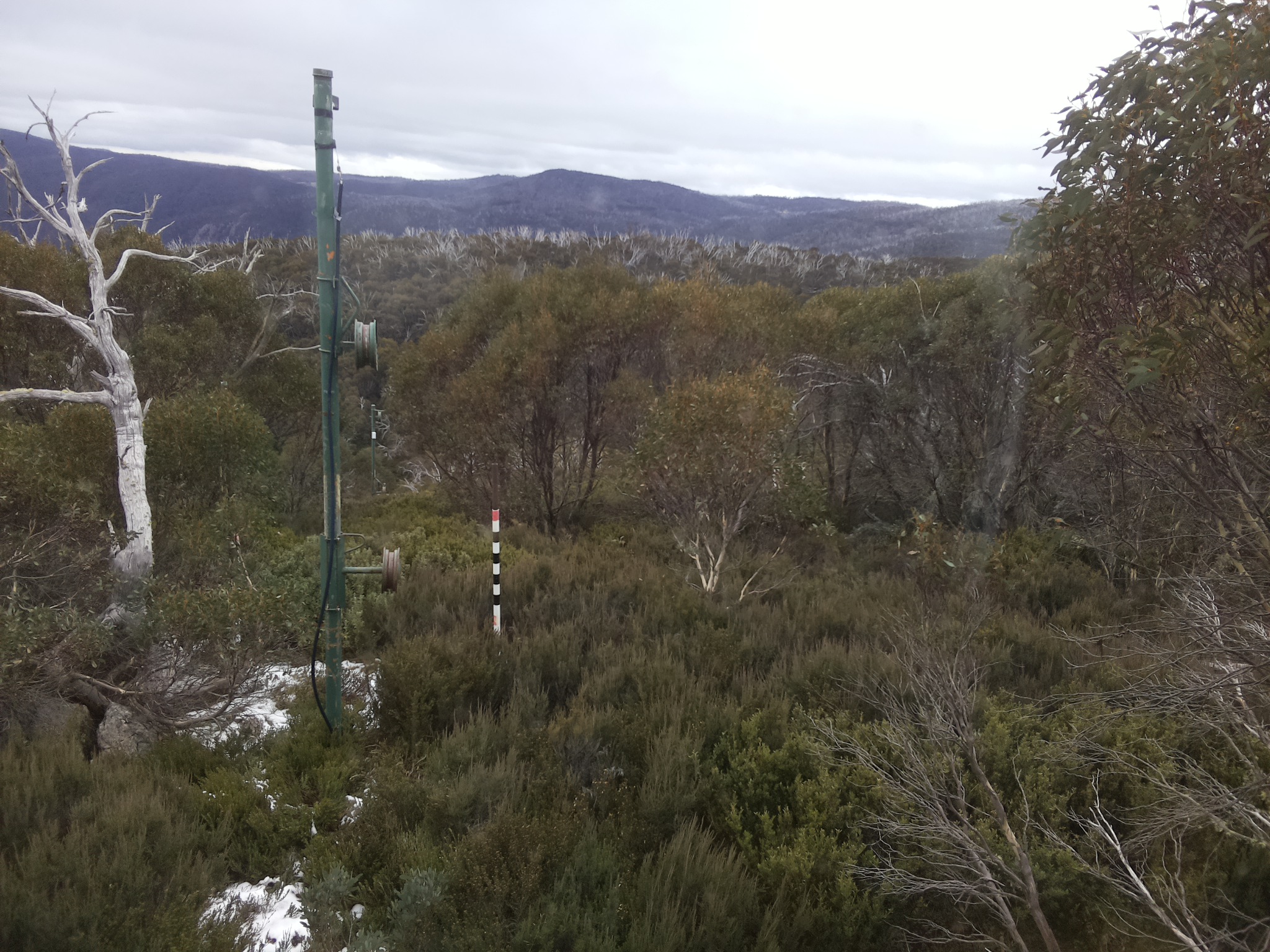 Bogong Web Cam 11:50am Tuesday 3rd of June 2025