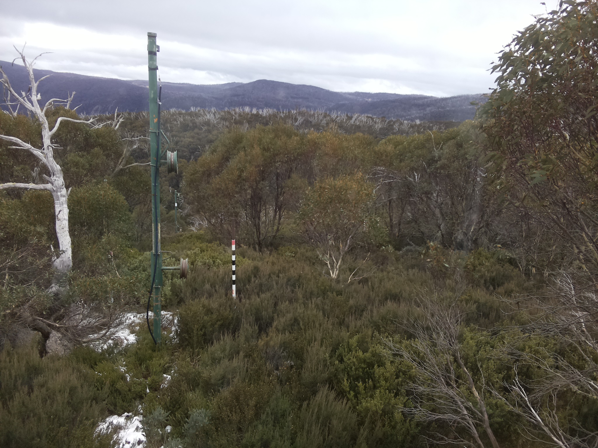 Bogong Web Cam 12:00pm Tuesday 3rd of June 2025