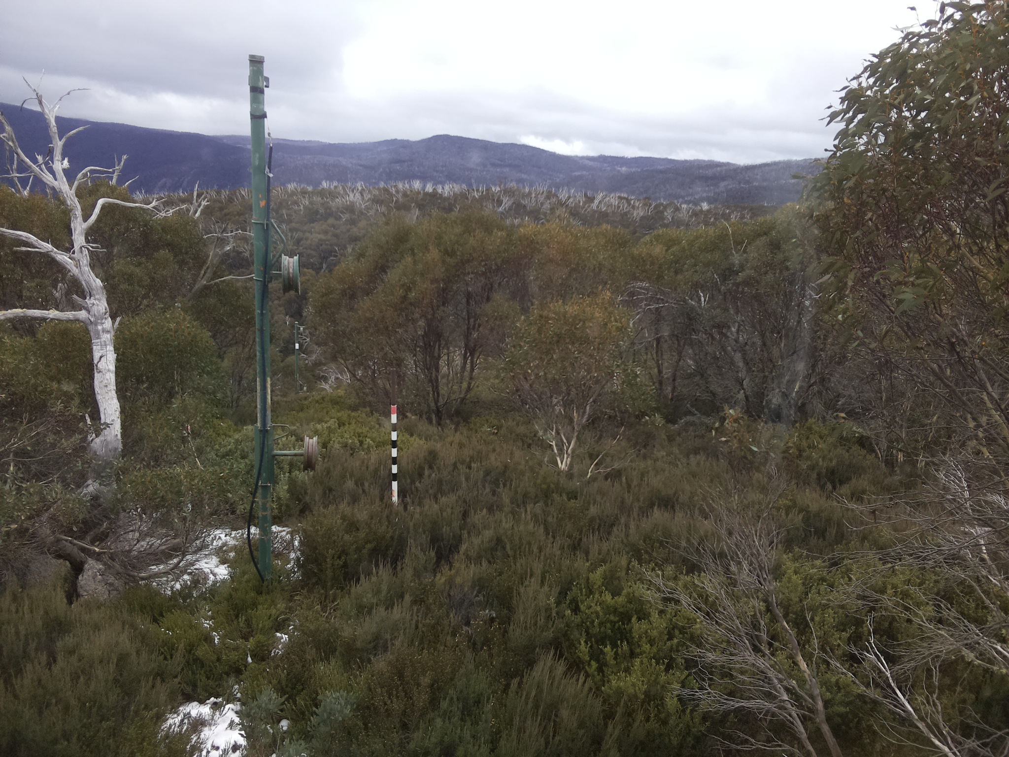 Bogong Web Cam 12:20pm Tuesday 3rd of June 2025