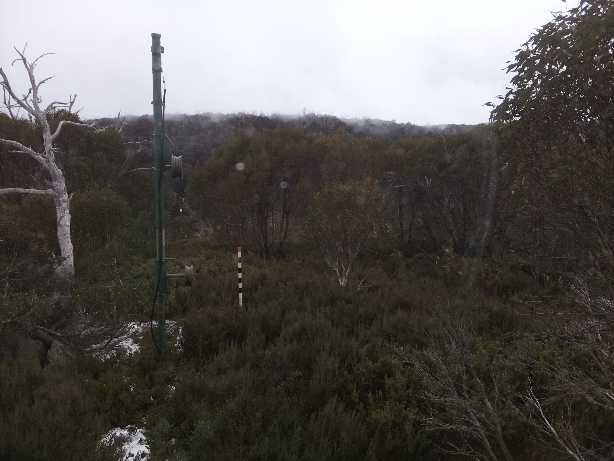 Bogong Web Cam 3:00pm Tuesday 3rd of June 2025