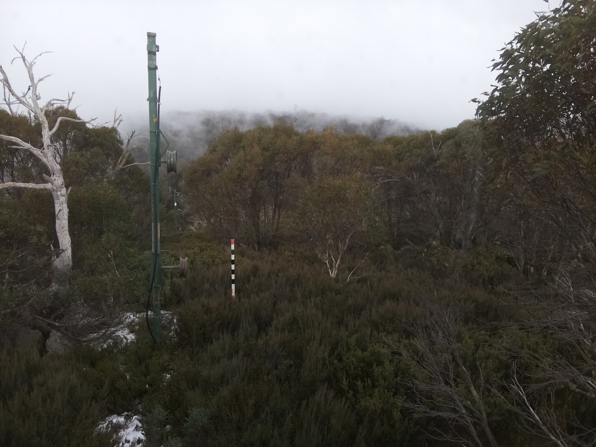 Bogong Web Cam 3:30pm Tuesday 3rd of June 2025