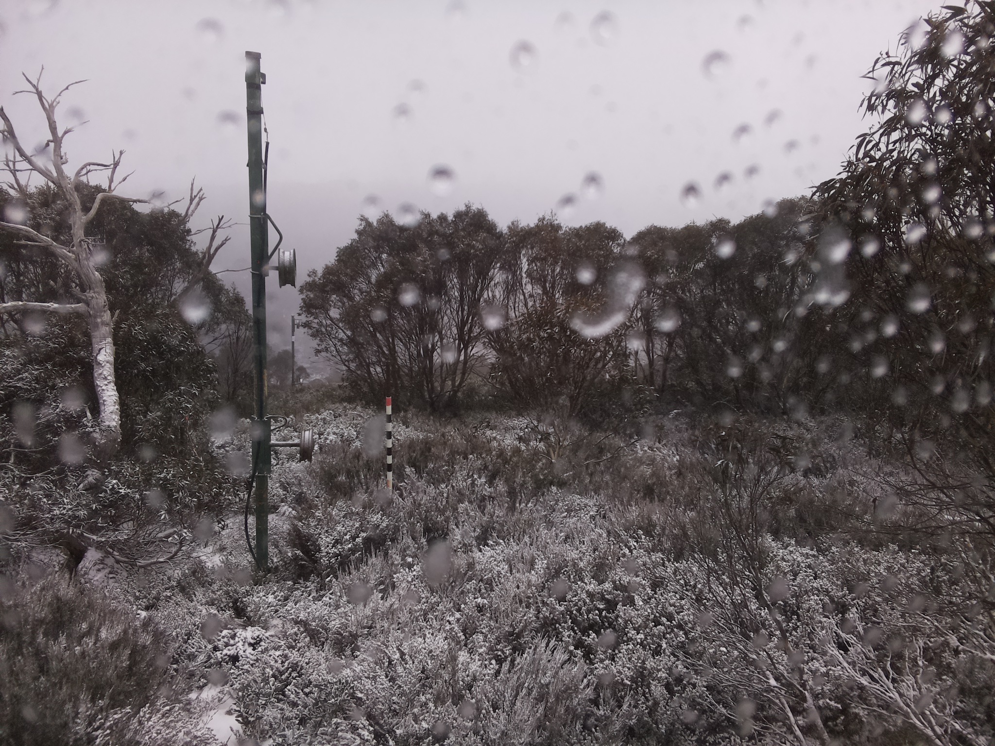Bogong Web Cam 9:10am Wednesday 4th of June 2025