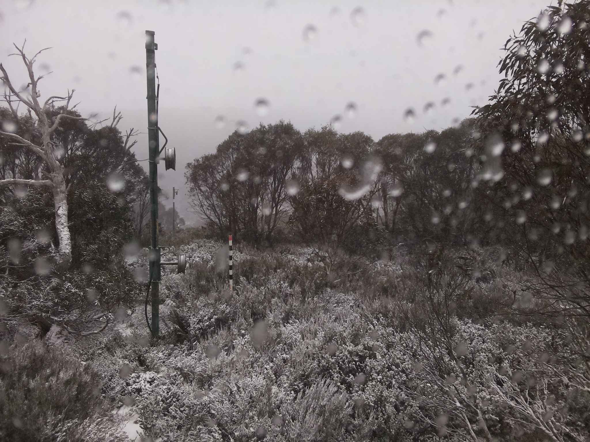 Bogong Web Cam 9:20am Wednesday 4th of June 2025