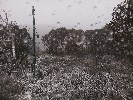 Thumbnail 9:20am Wednesday 4th of June 2025