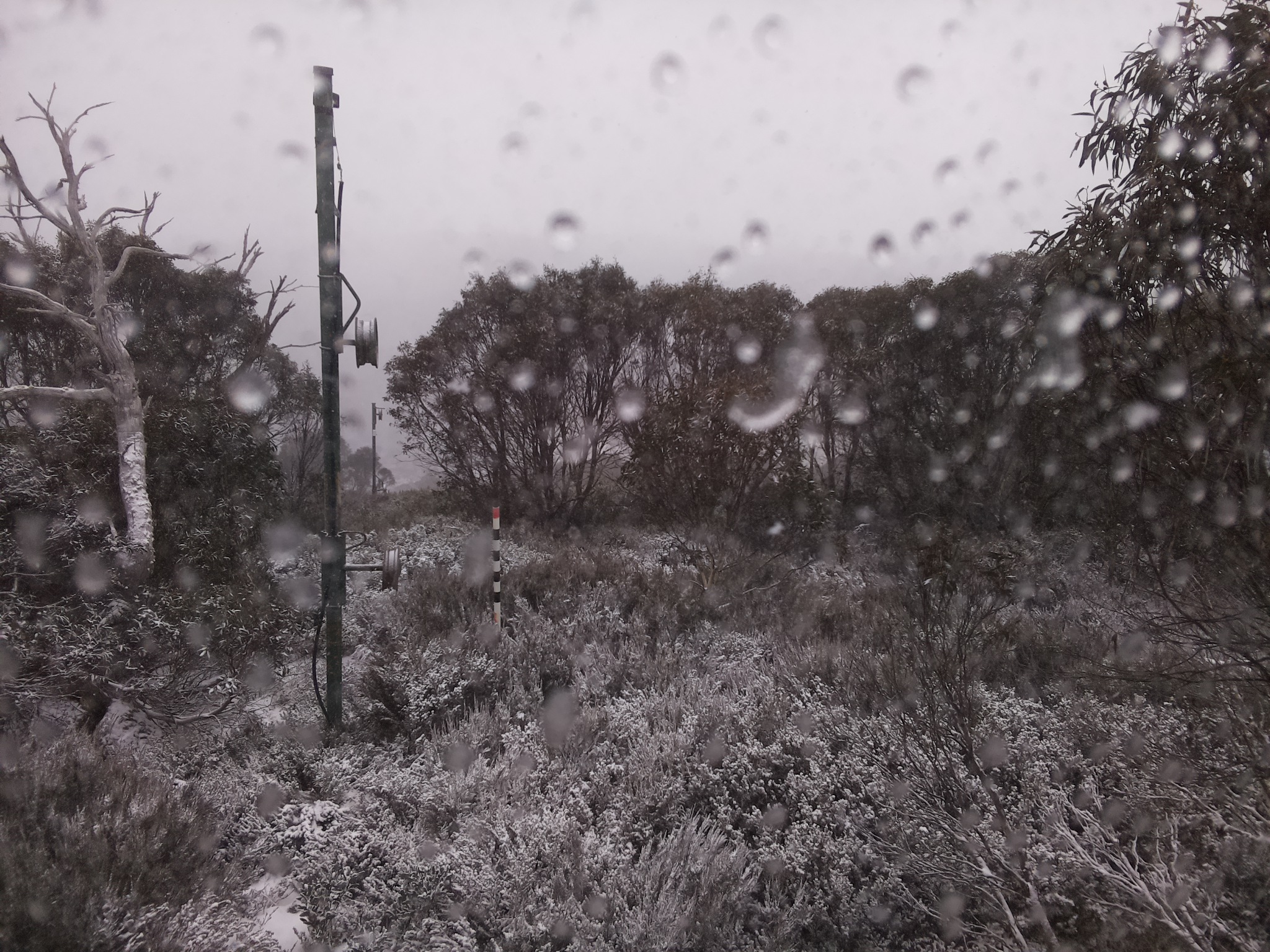 Bogong Web Cam 9:40am Wednesday 4th of June 2025