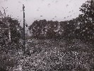 Thumbnail 9:40am Wednesday 4th of June 2025