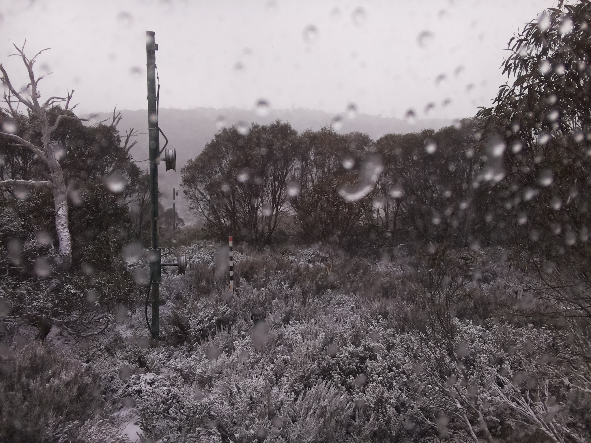 Bogong Web Cam 9:50am Wednesday 4th of June 2025
